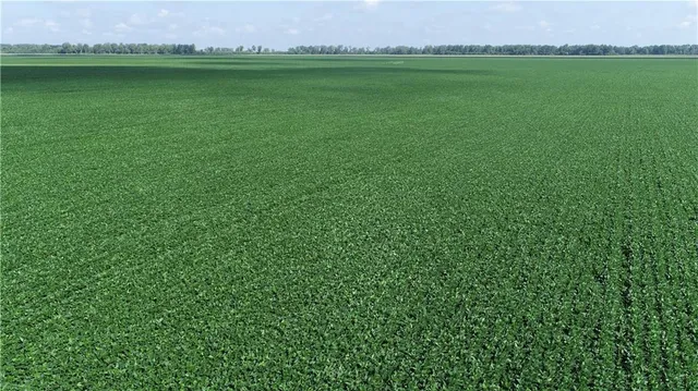 $3,513,120 | 1 North Of Cranberry Bend Road, Malta Bend, MO 65339