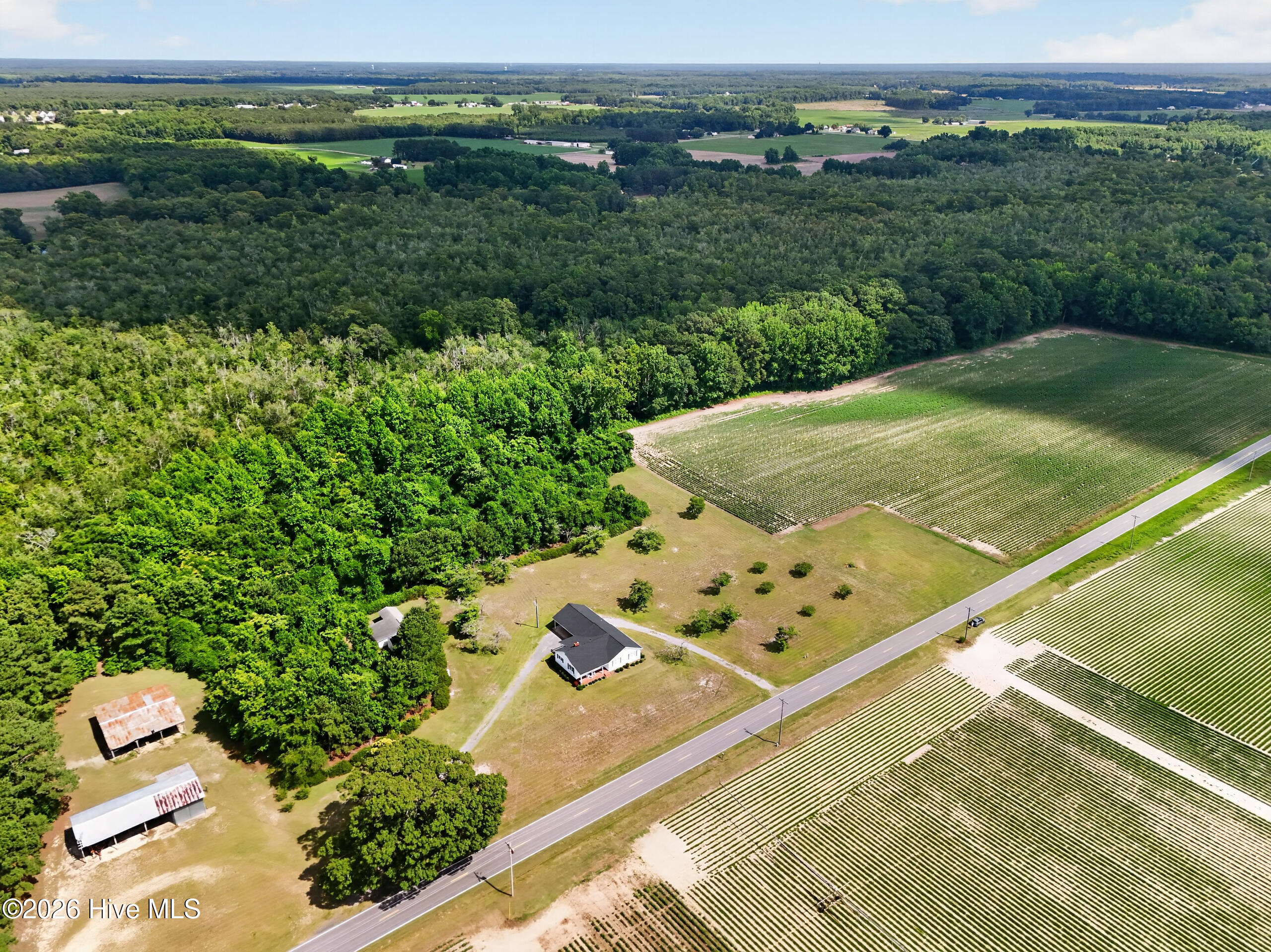 408 Rocky Hock Creek Road Edenton, NC 27932 - Photo 35 of 56