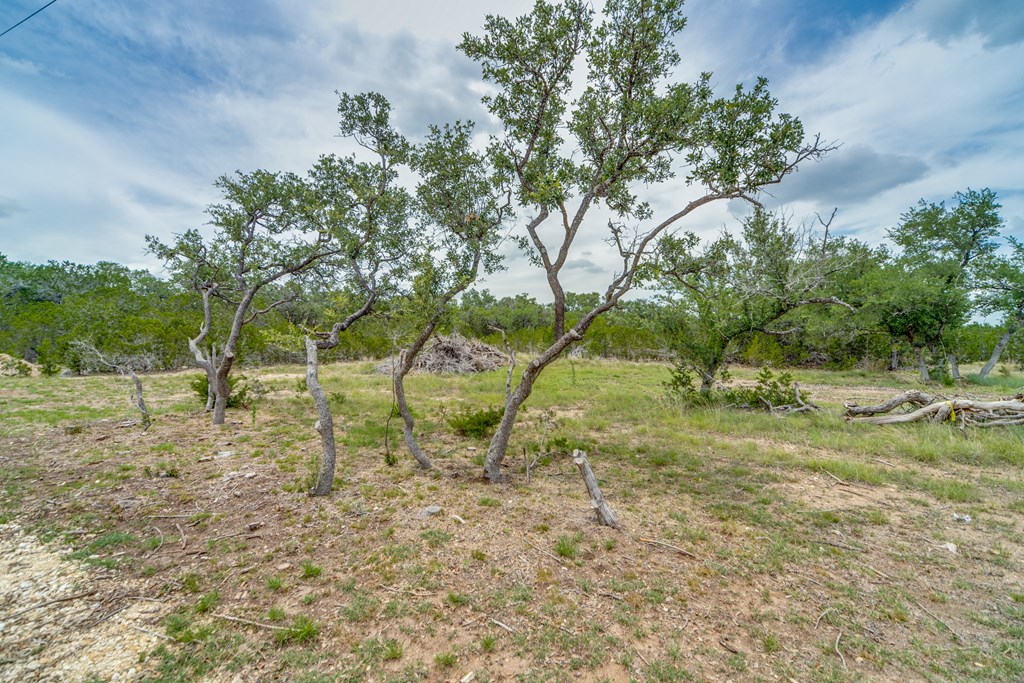 Lot 20 A Prairie Bandera, TX 78003 - Photo 3 of 20