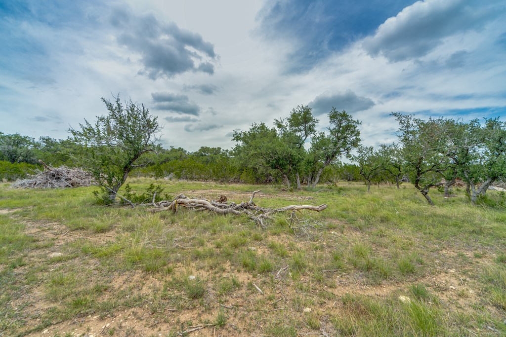 Lot 20 A Prairie Bandera, TX 78003 - Photo 5 of 20