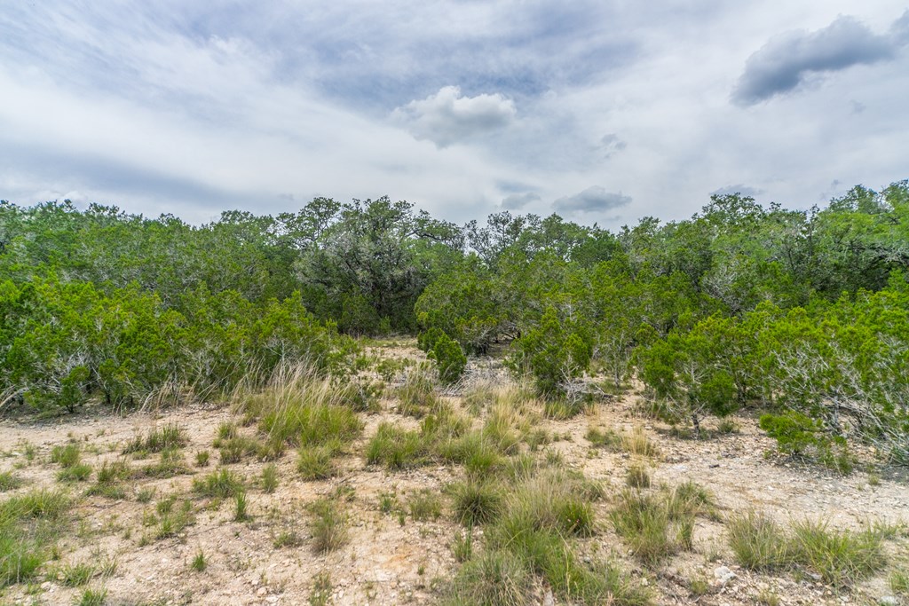 Lot 20 A Prairie Bandera, TX 78003 - Photo 9 of 20