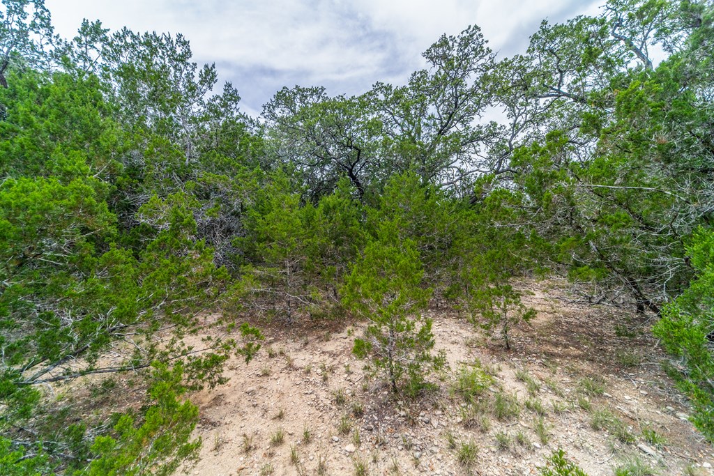 Lot 20 A Prairie Bandera, TX 78003 - Photo 10 of 20