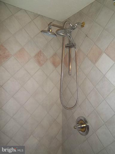 1928 Colora Road Colora, MD 21917 - Photo 6 of 27 Shower in Hall Bath Whirlpool Tub Too