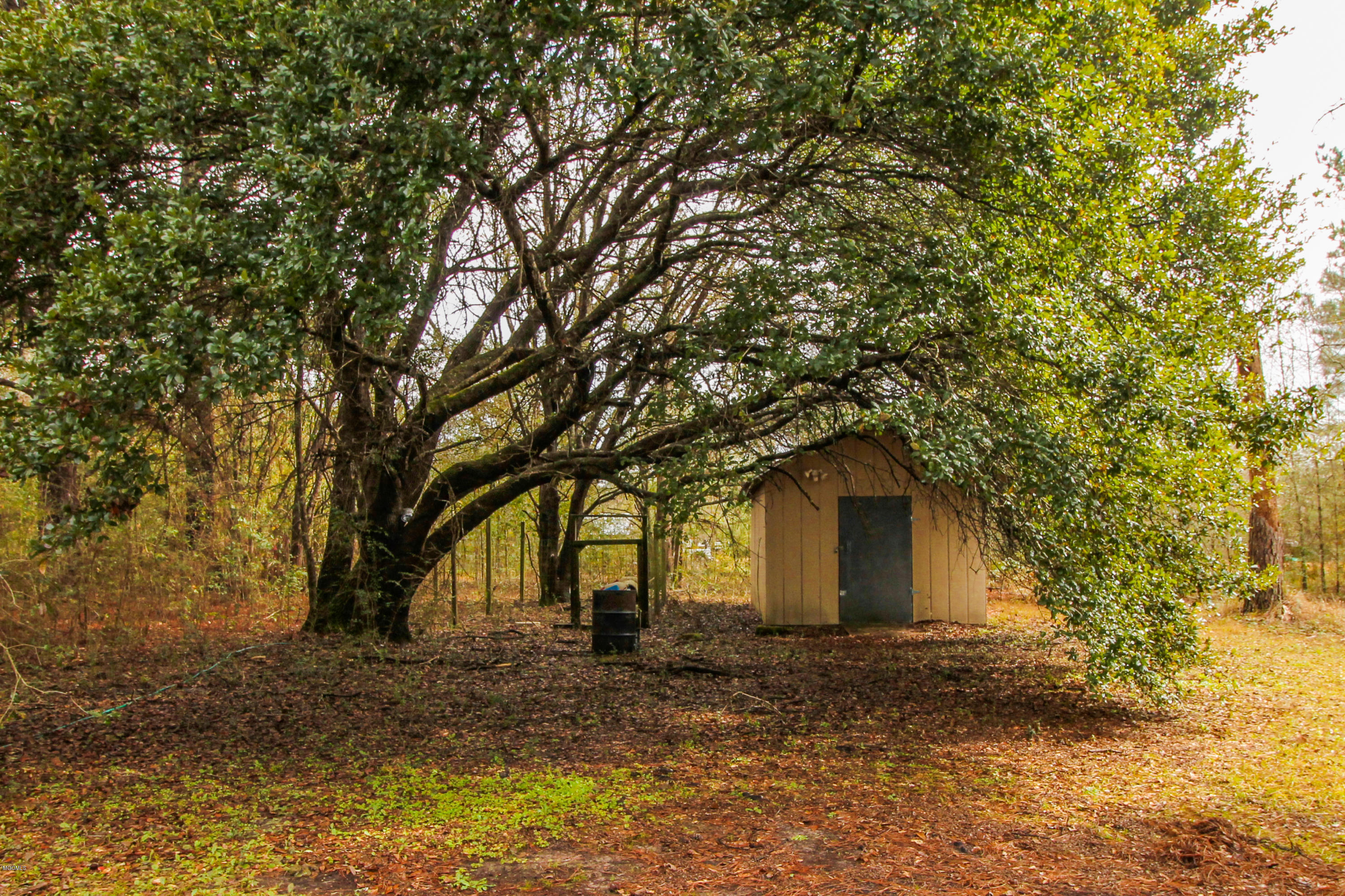 6007 Lilly Coleman Road Lucedale, MS 39452 - Photo 17 of 29 Lily Coleman Rd.-17
