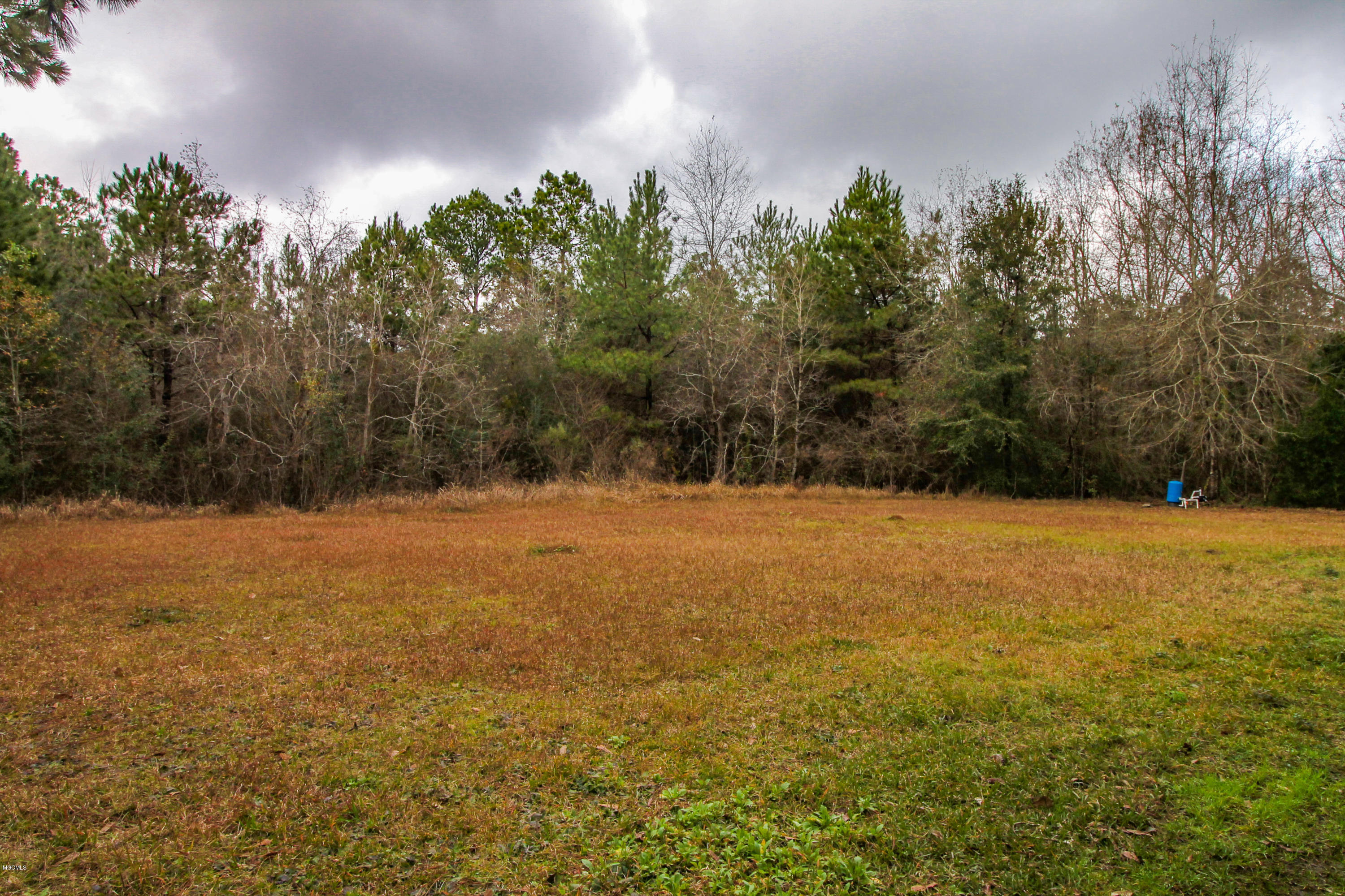 6007 Lilly Coleman Road Lucedale, MS 39452 - Photo 24 of 29 Lily Coleman Rd.-23