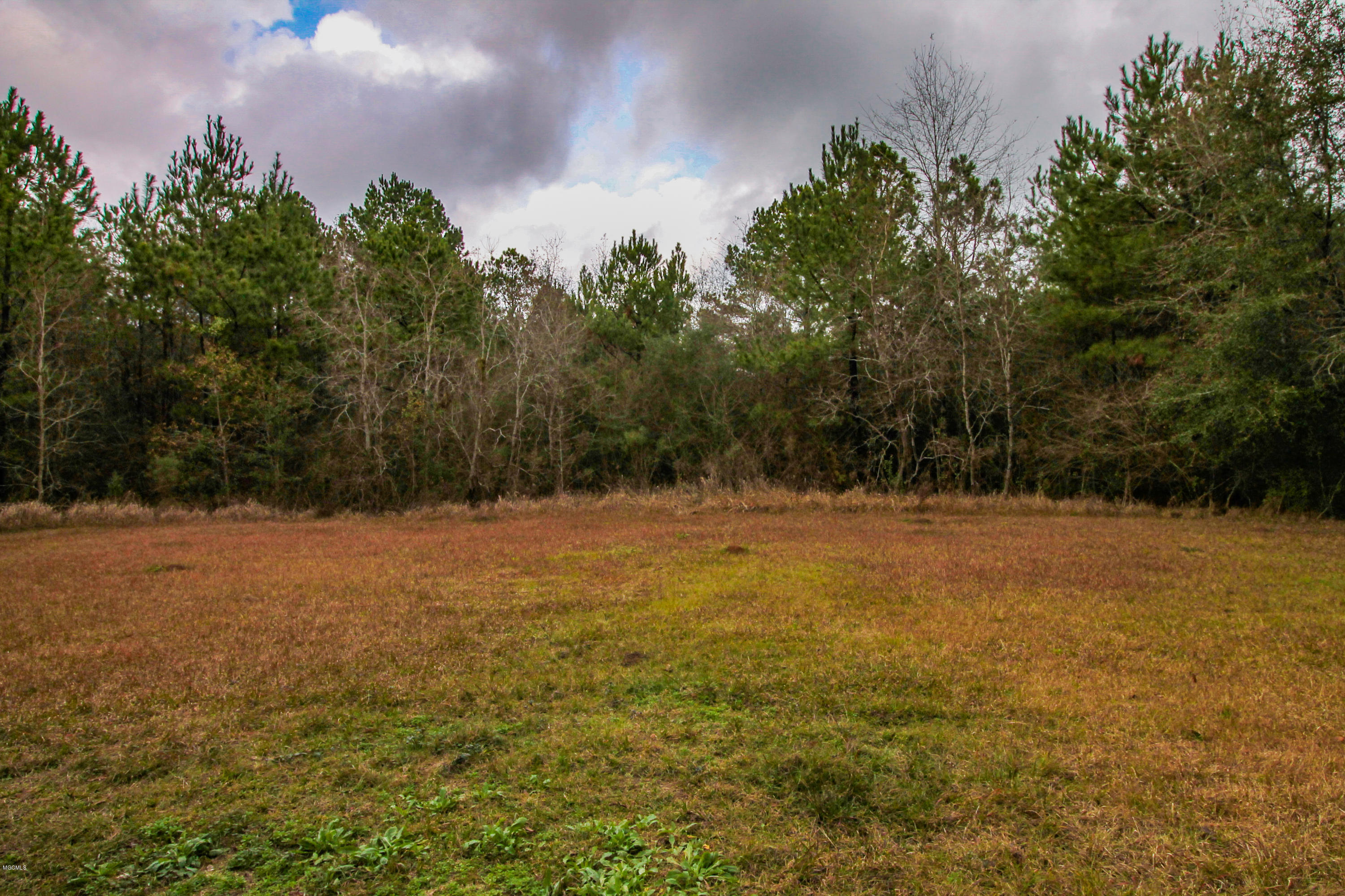 6007 Lilly Coleman Road Lucedale, MS 39452 - Photo 26 of 29 Lily Coleman Rd.-25