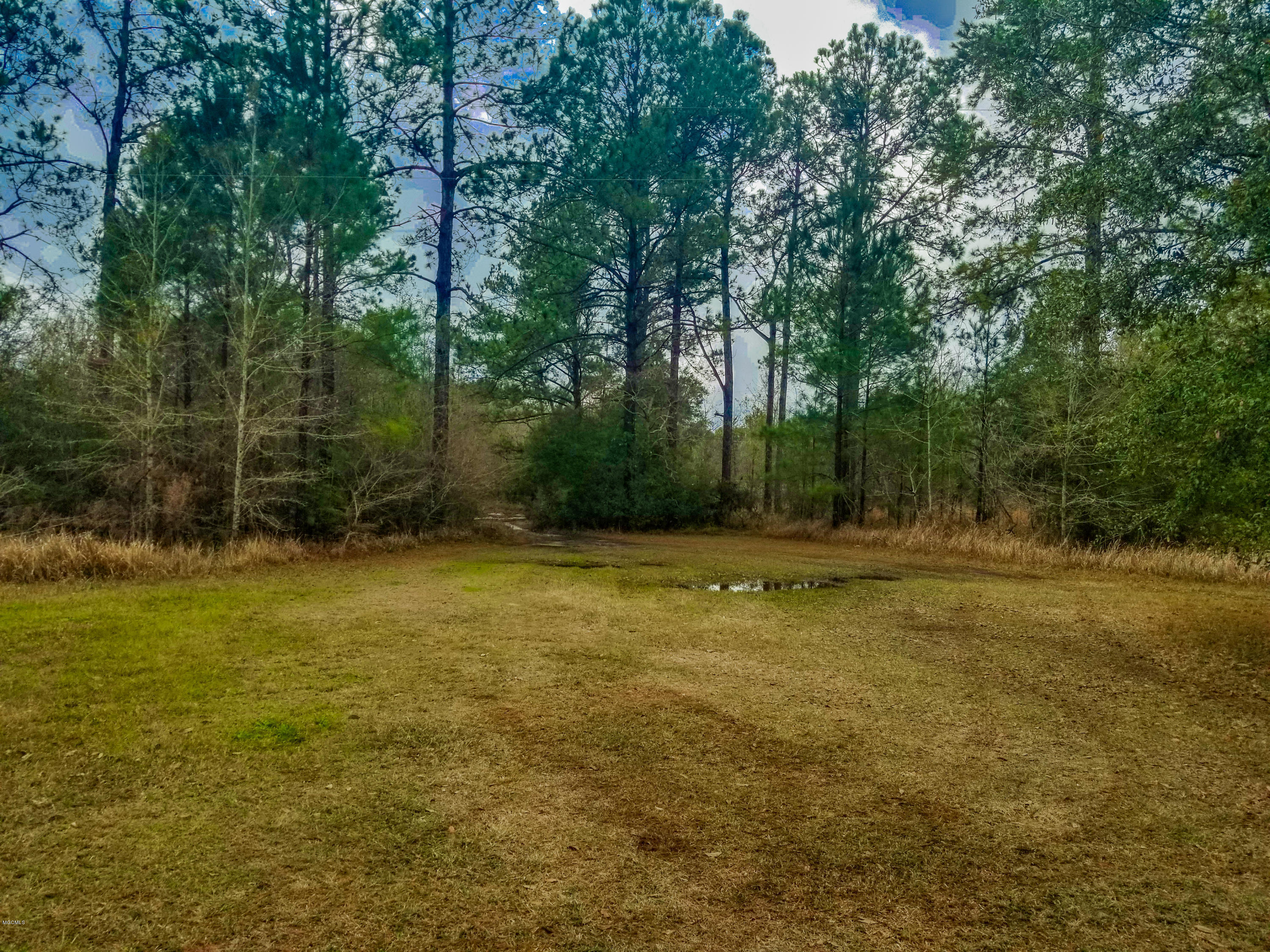 6007 Lilly Coleman Road Lucedale, MS 39452 - Photo 27 of 29 Lily Coleman Rd.-26