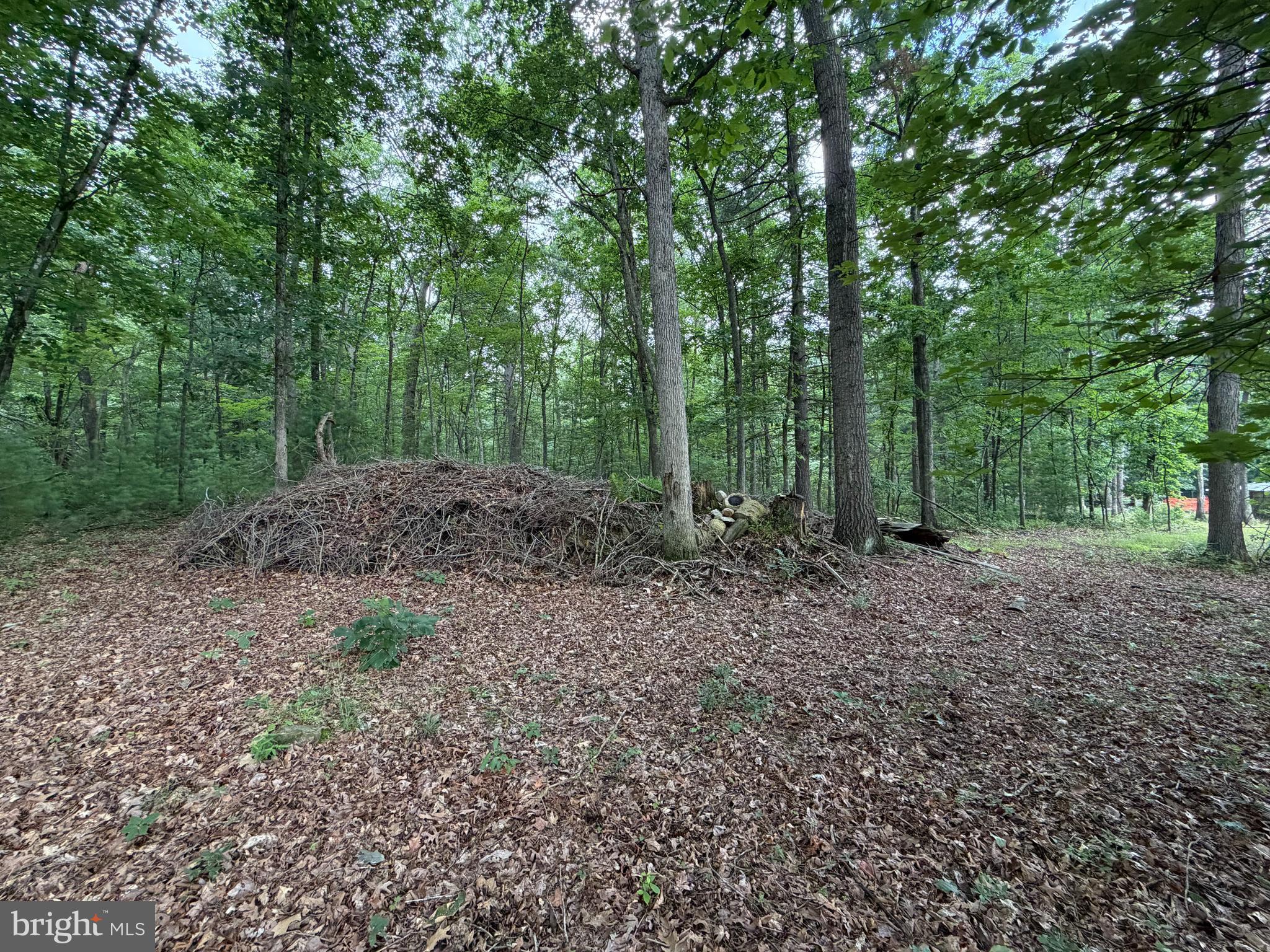 Lot 8-2ac Lot 8-2ac Grizzly Road Mathias, WV 26812 - Photo 4 of 18