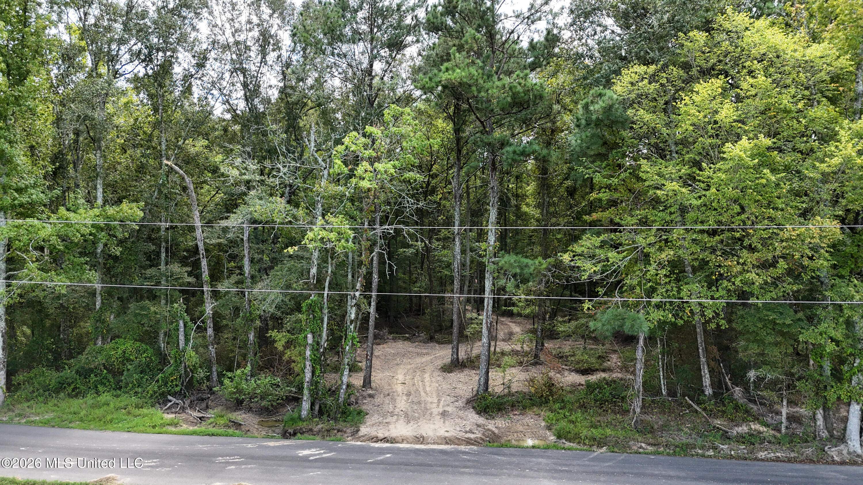 Shiloh Road Brandon, MS 39042 - Photo 119 of 127 125-DJI_20260901131517_0204_D