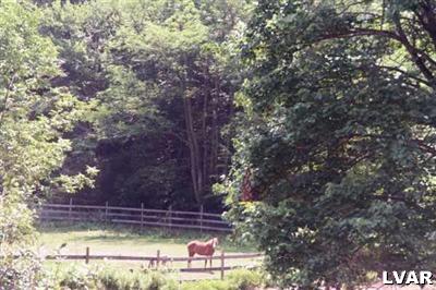 0 Merwinsburg Road Effort, PA 18330 - Photo 6 of 7 a view of a backyard with plants and trees