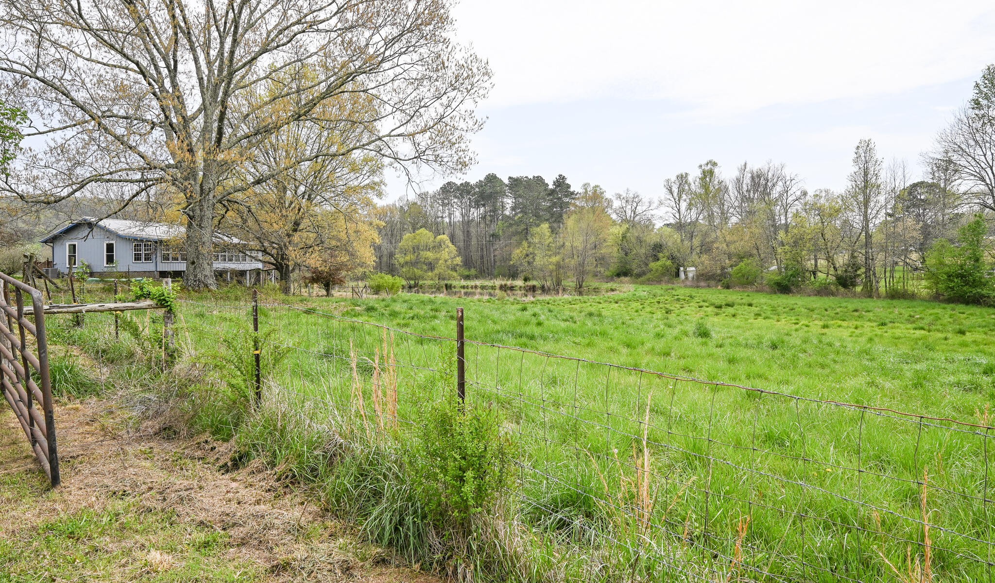 2464 No Pone Road Northwest Georgetown, TN 37336 - Photo 48 of 50 a view of grassy field with trees