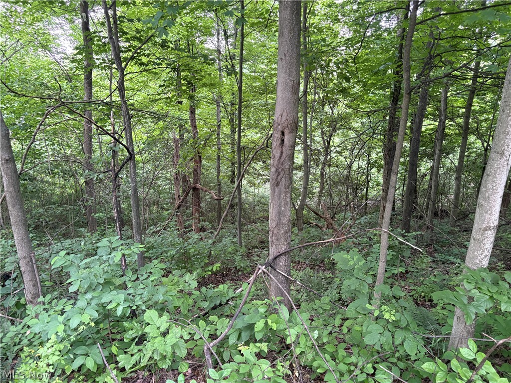 38532 Township Road Sardis, OH 43946 - Photo 10 of 15