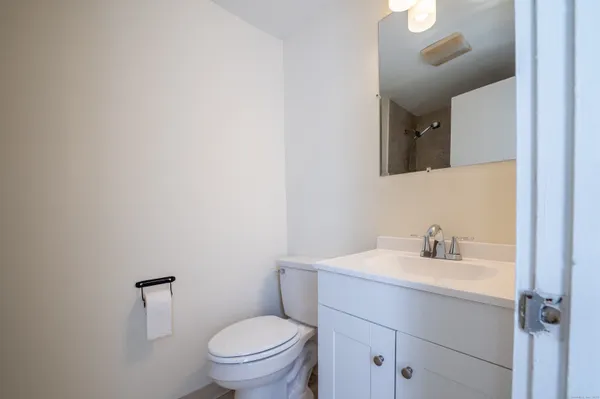 a bathroom with a sink toilet and vanity