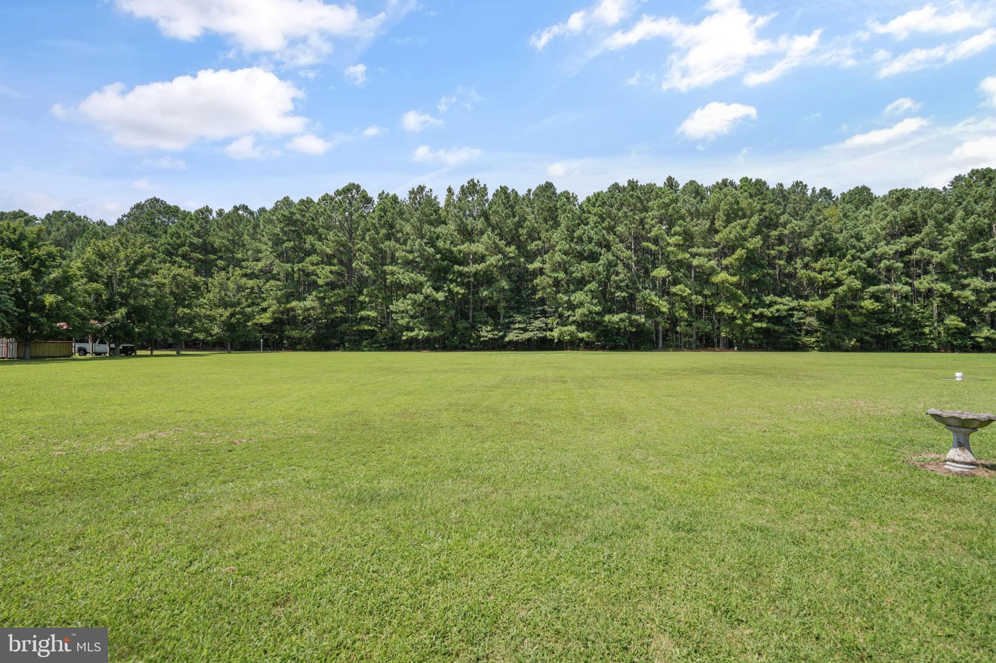 23026 Stone House Road Onley, VA 23418 - Photo 42 of 48 Gallery Image 42