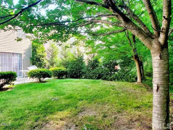 a view of a garden with plants