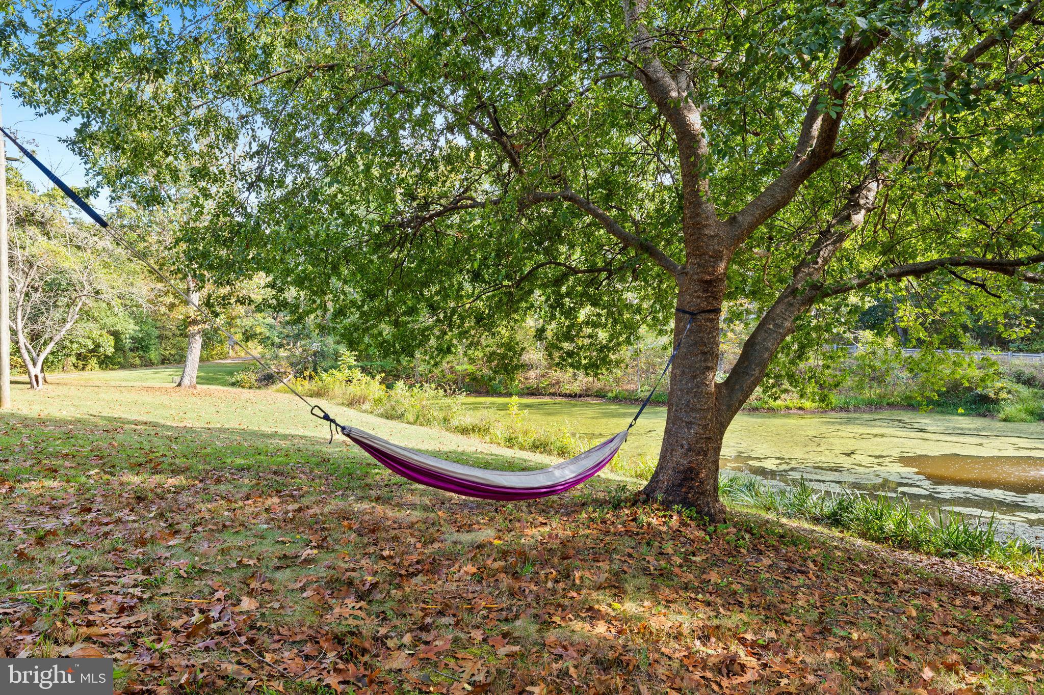 4440 Dumfries Road Catlett, VA 20119 - Photo 29 of 38 a backyard of a house with a yard and large trees