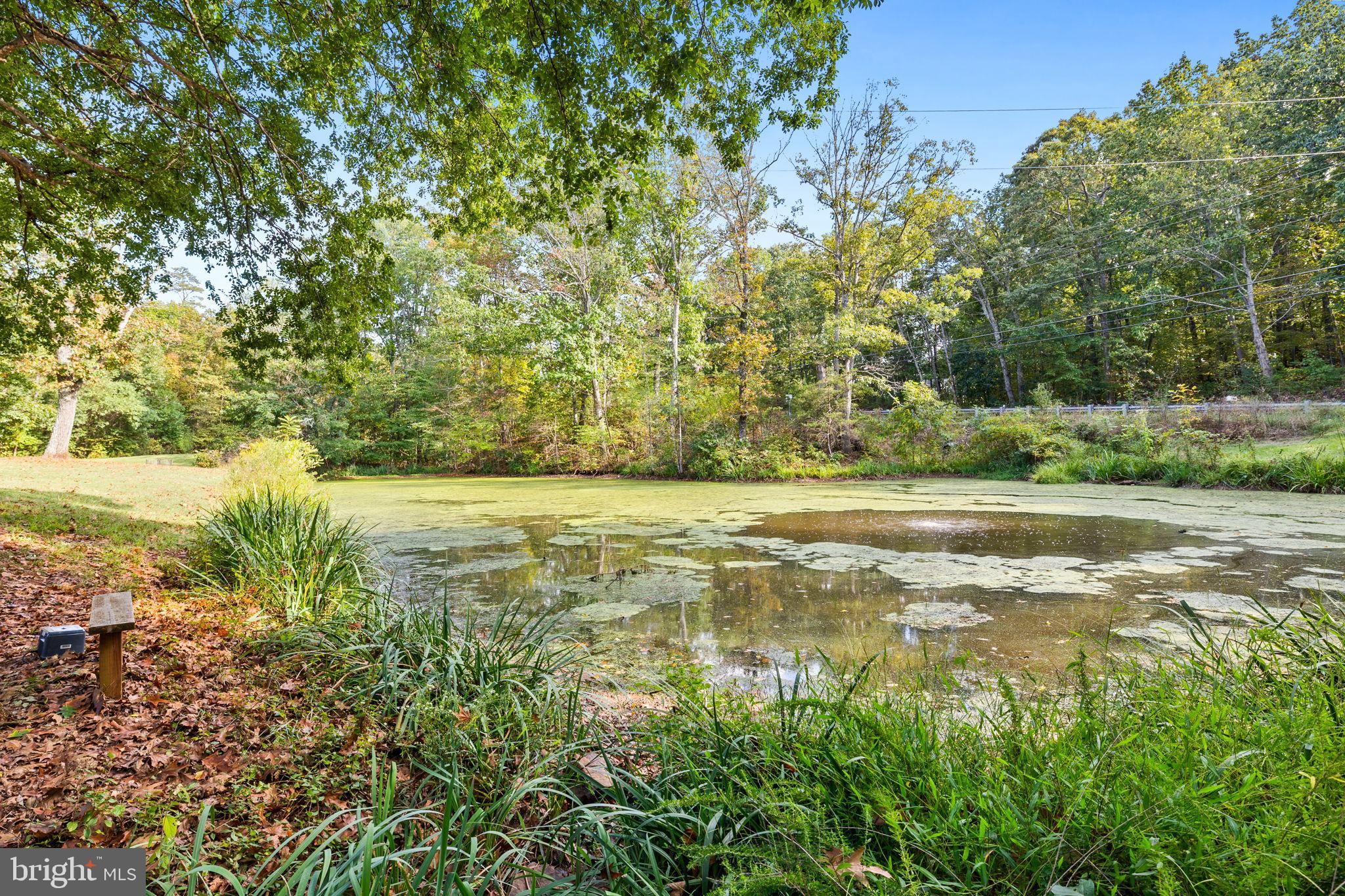 4440 Dumfries Road Catlett, VA 20119 - Photo 30 of 38 a view of yard with green space