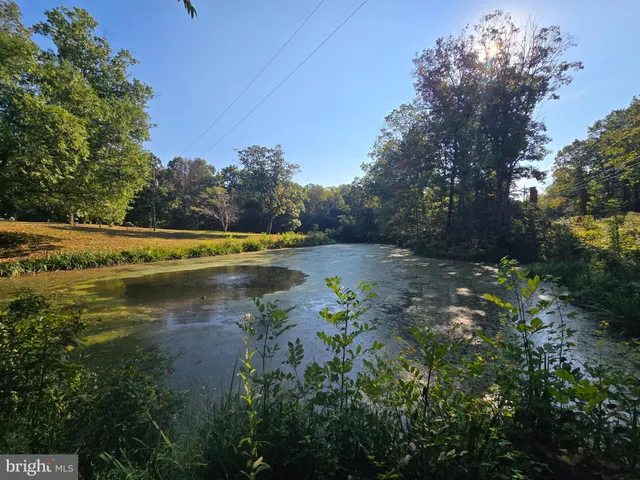 a view of a trees with a yard