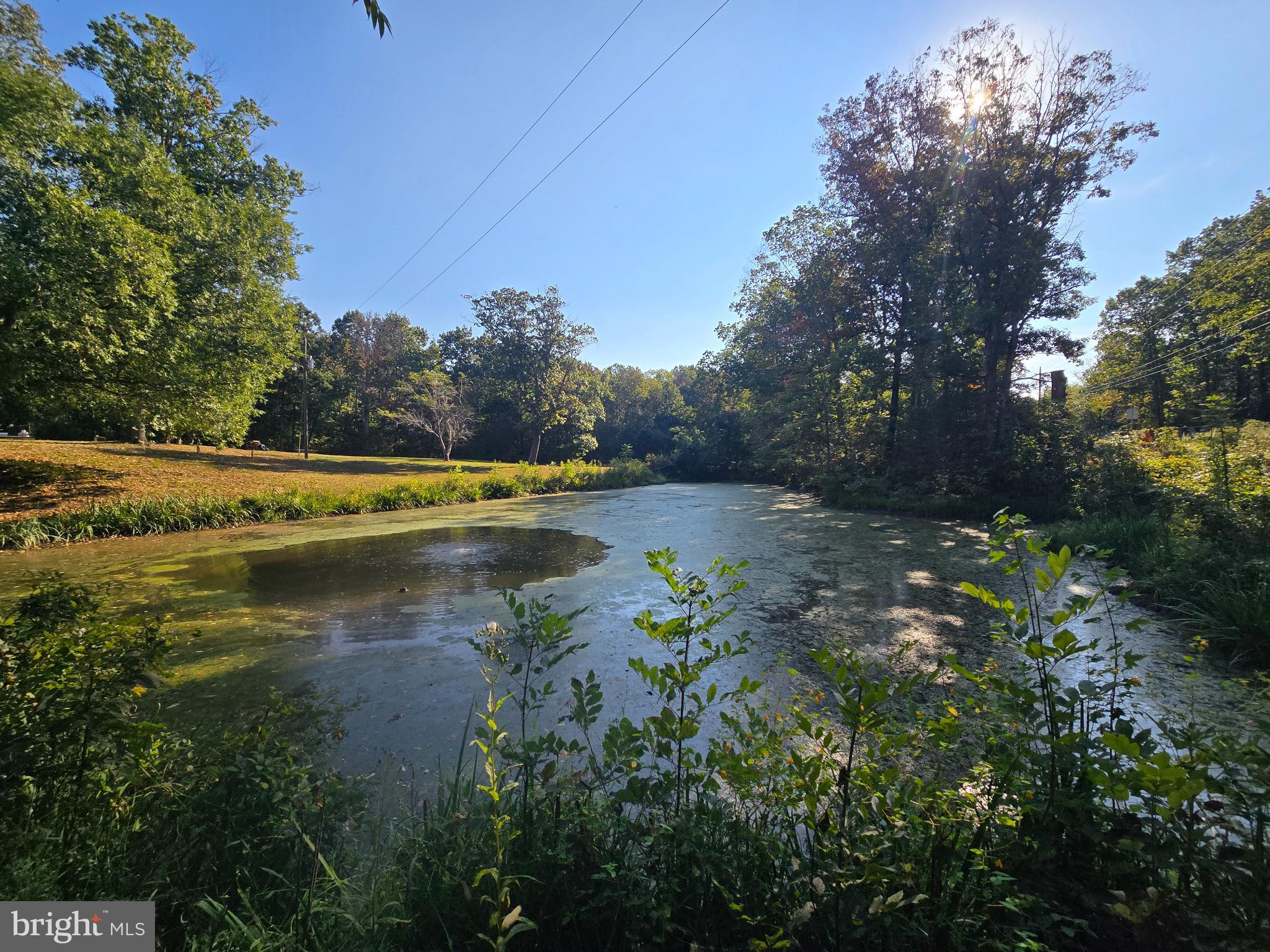 4440 Dumfries Road Catlett, VA 20119 - Photo 31 of 38 a view of a lake with trees all around