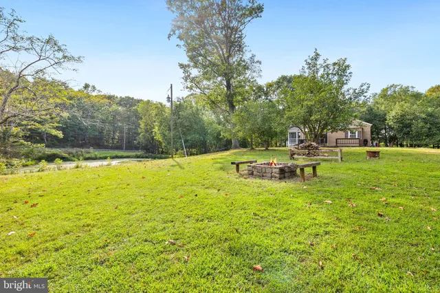a view of a lot of trees and bushes