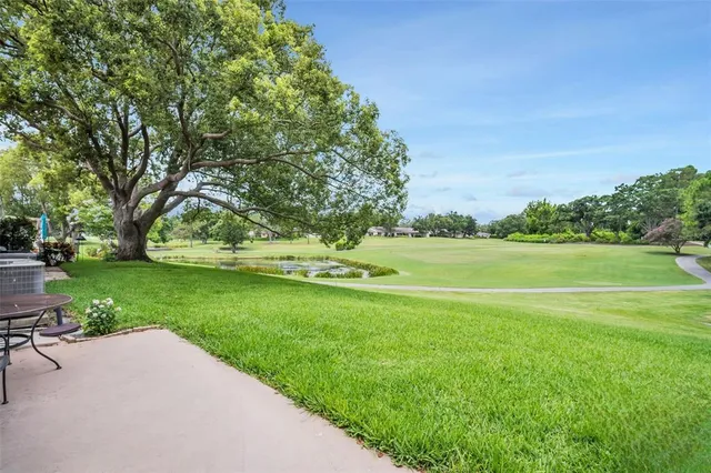 a view of a park with large trees