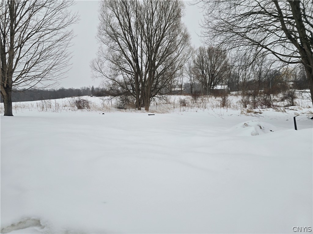 138 Ritchie Road Fulton, NY 13069 - Photo 6 of 26