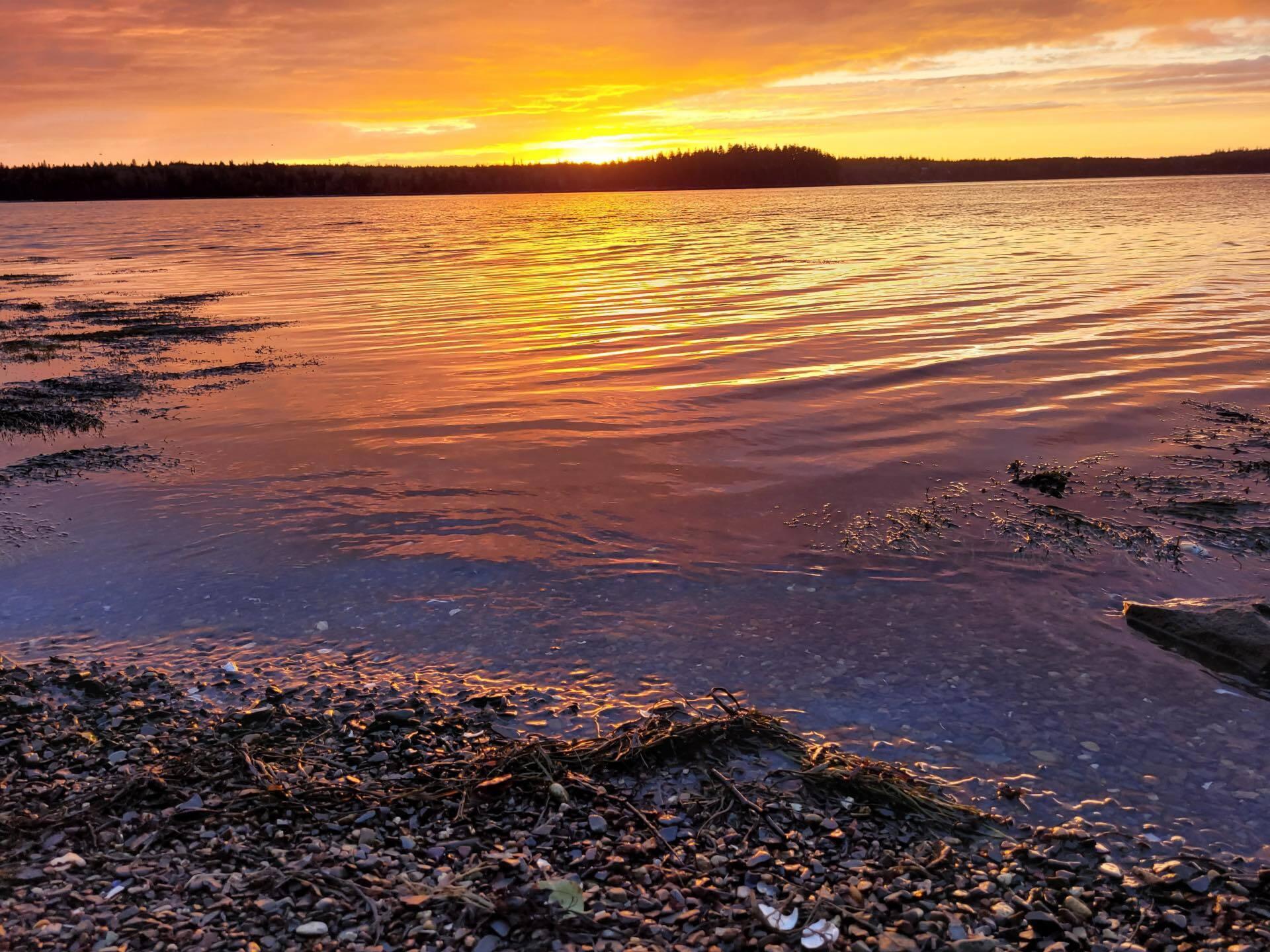 7 Yoho Head Road Machiasport, ME 04655 - Photo 2 of 12 370242349_685118313294172_54676376484704