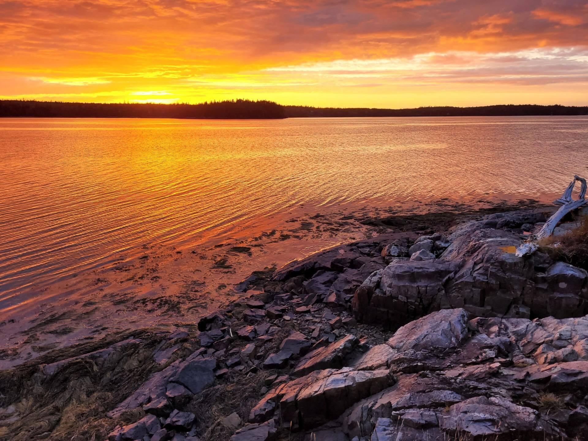 7 Yoho Head Road Machiasport, ME 04655 - Photo 3 of 12 370270274_347637304436160_33859904176596