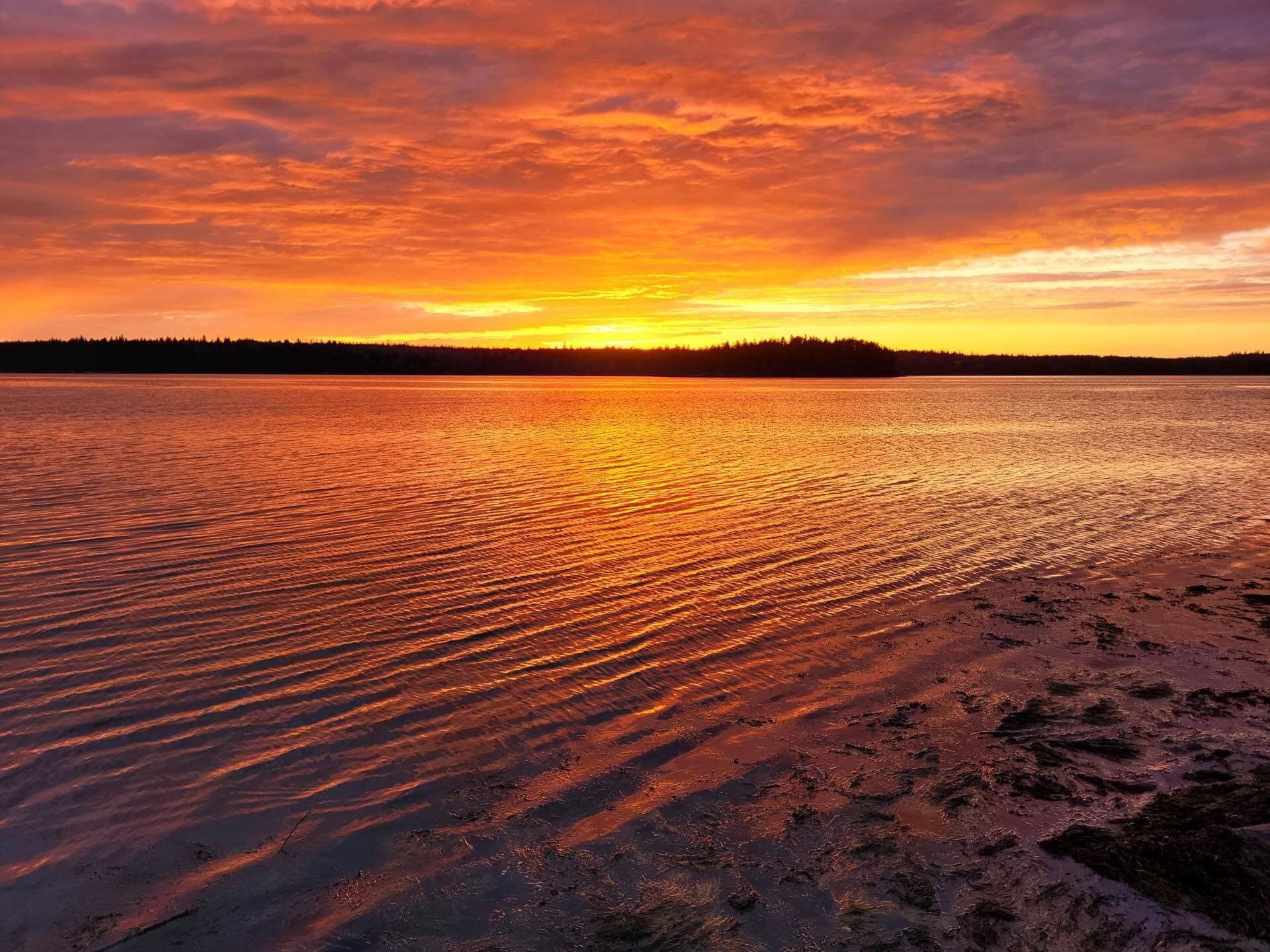 7 Yoho Head Road Machiasport, ME 04655 - Photo 4 of 12 386477947_266536569109104_54222612945412