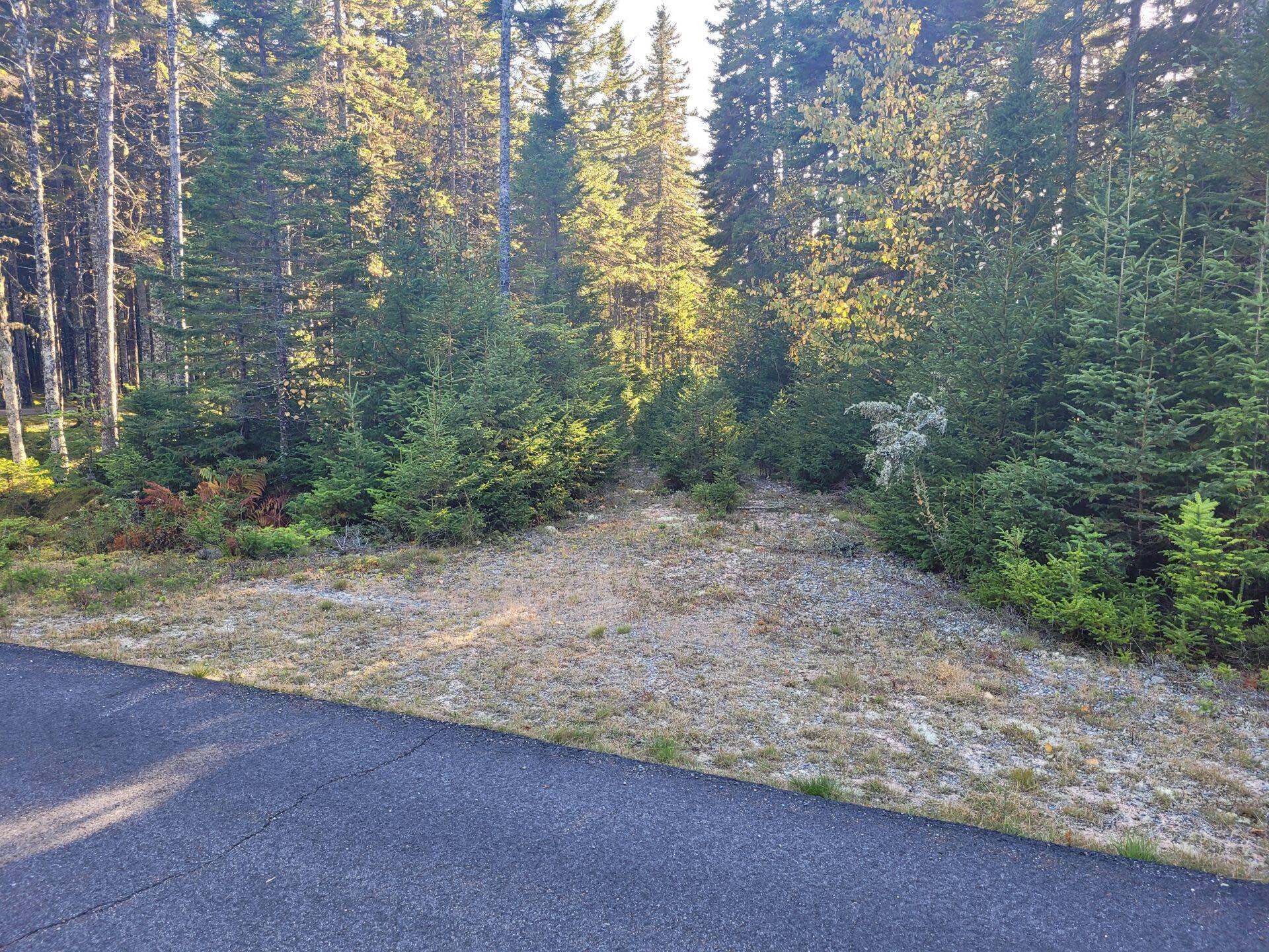 7 Yoho Head Road Machiasport, ME 04655 - Photo 6 of 12 387505311_1425602634691231_3577536255669