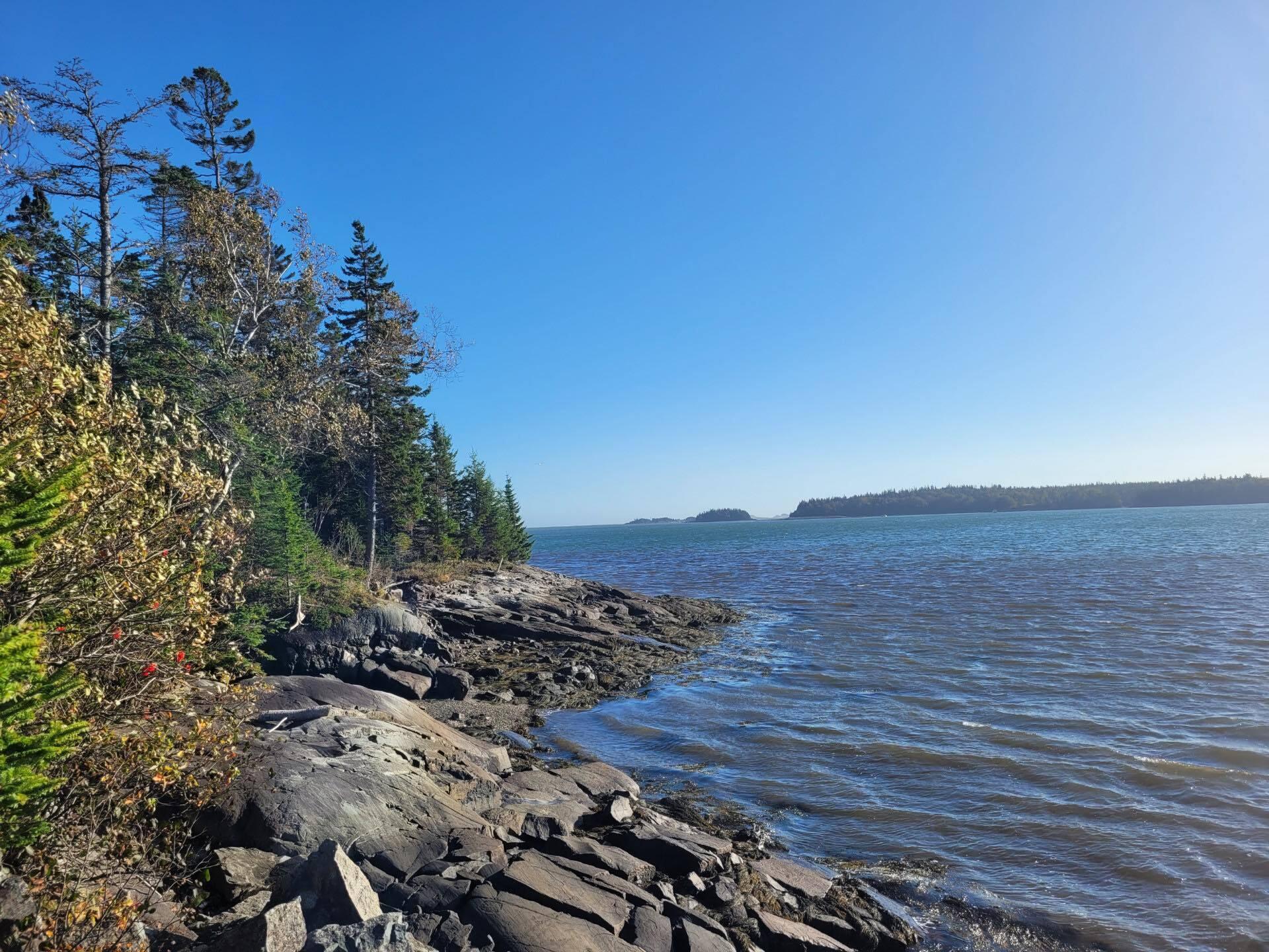 7 Yoho Head Road Machiasport, ME 04655 - Photo 7 of 12 387646060_126831303851679_65250296695543