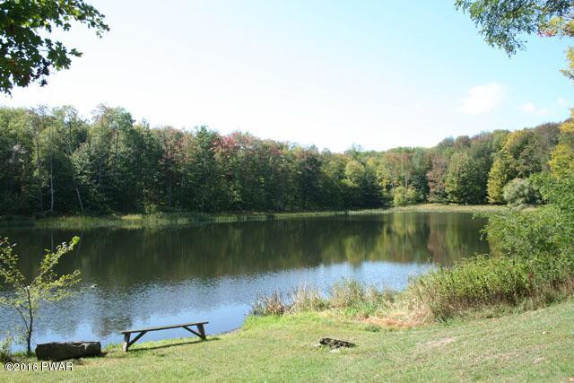 331 Church Road Damascus, PA 18415 - Photo 4 of 53 R-24628PondThreeSummer640