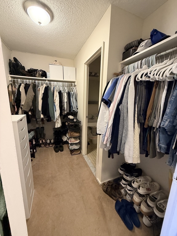 44 Washington Street, Unit 505 Brookline, MA 02445 - Photo 7 of 24