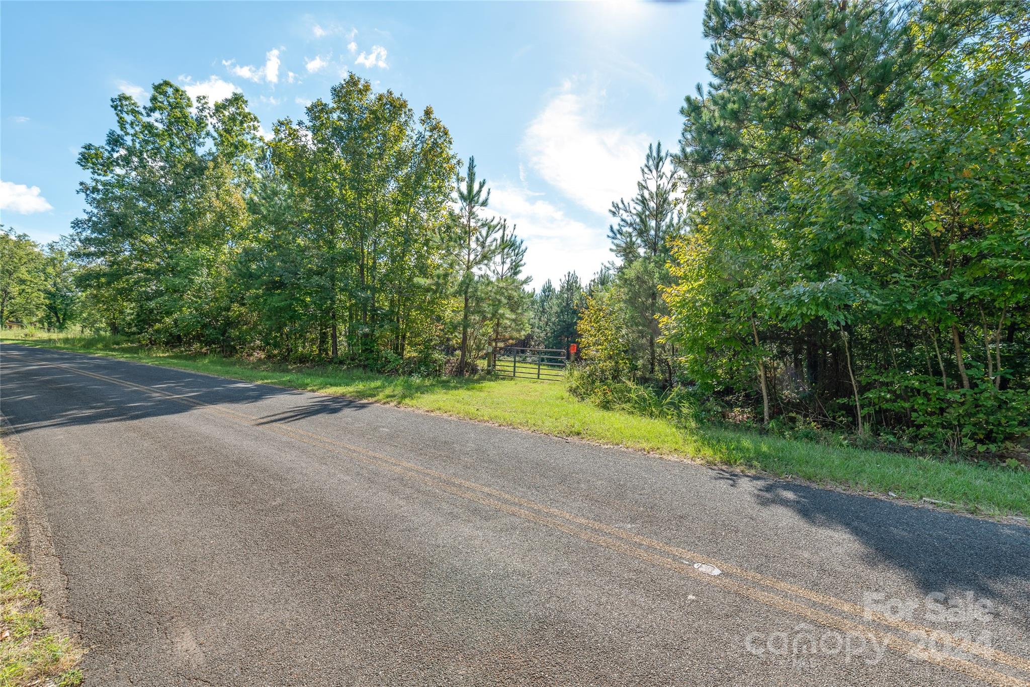 0 Martin Road Hickory Grove, SC 29717 - Photo 3 of 18