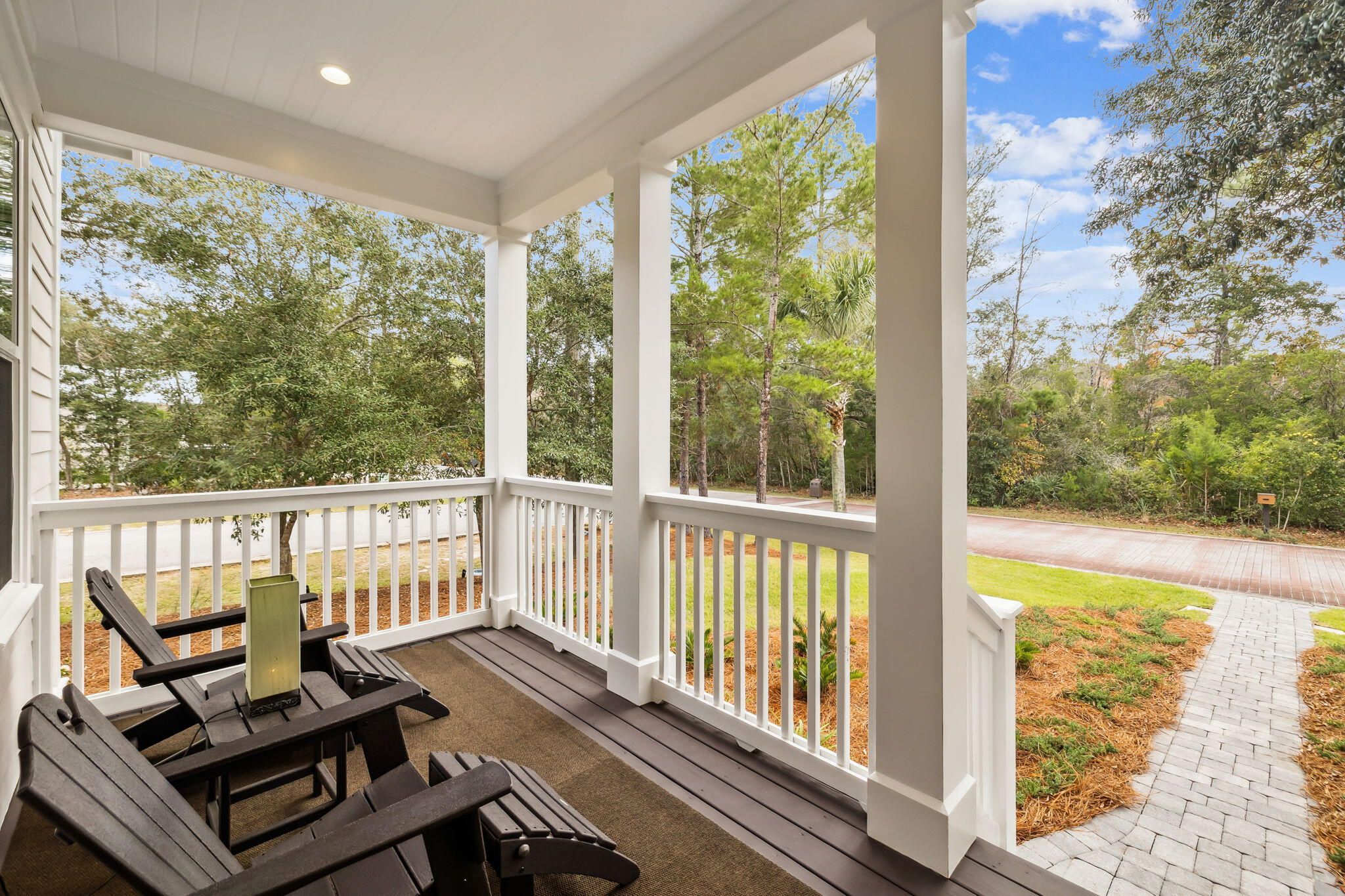 155 Devlieg Avenue Santa Rosa Beach, FL 32459 - Photo 3 of 25 3