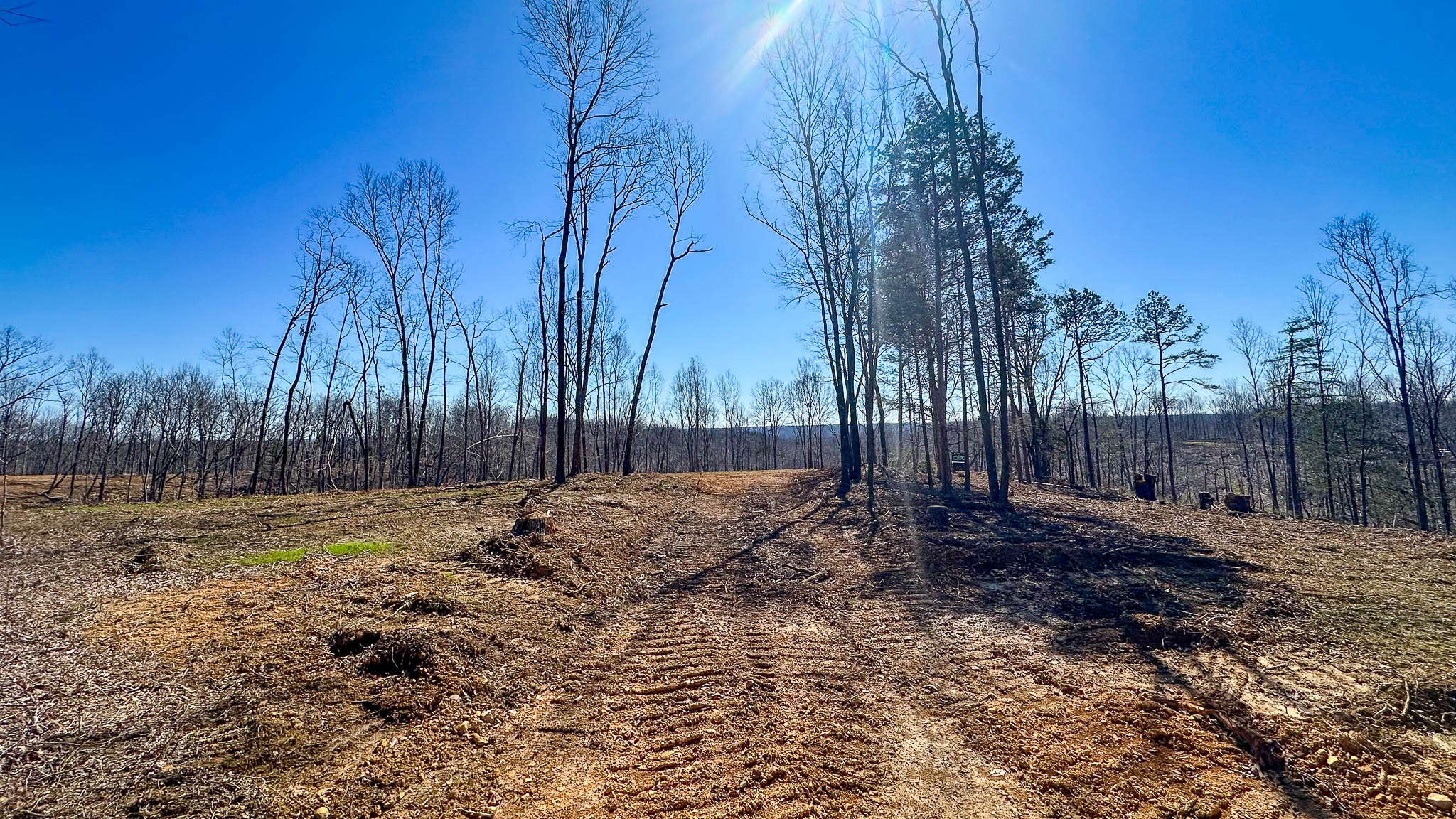 0 Highway 438 Centerville, TN 37033 - Photo 12 of 20