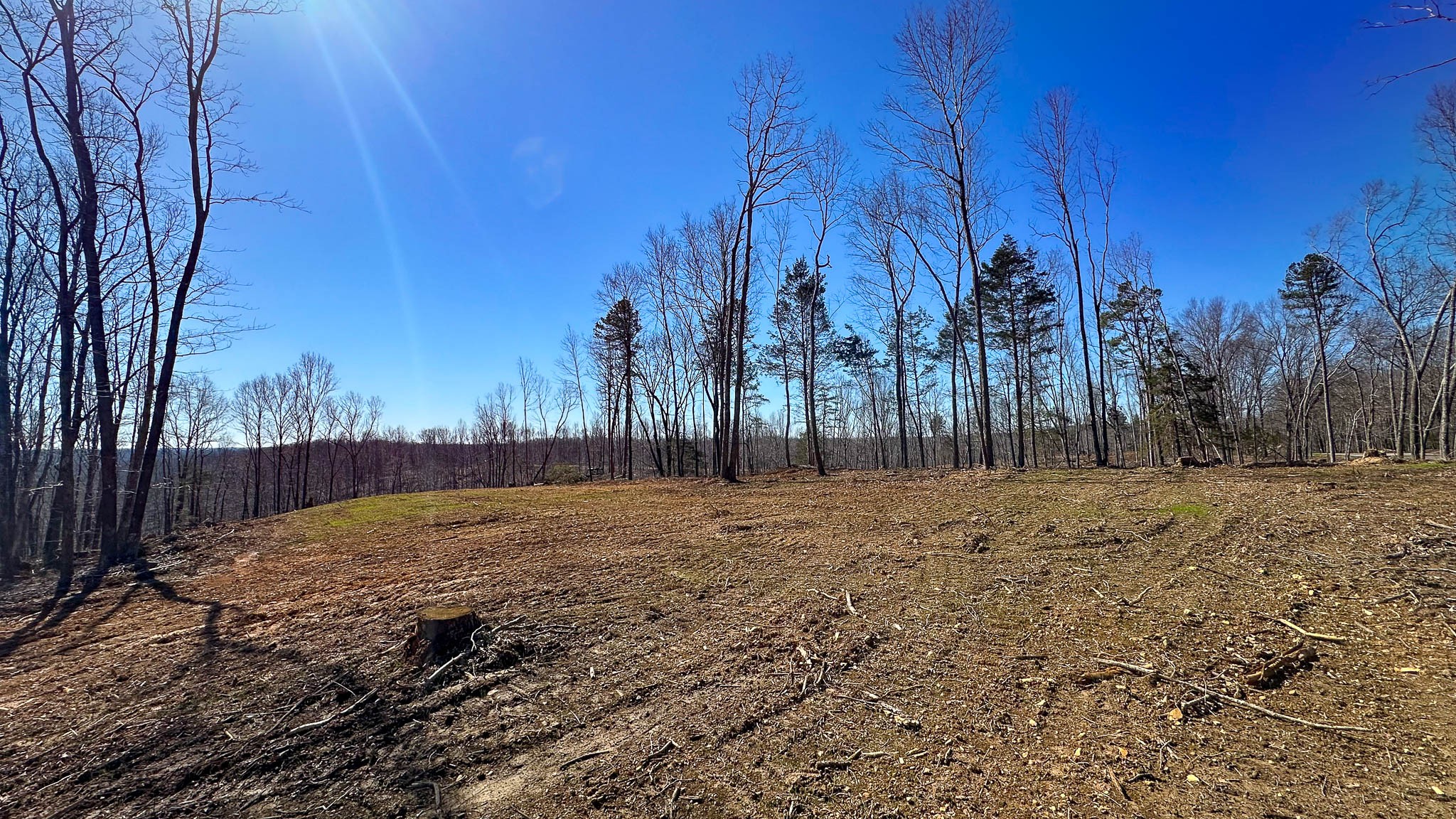 0 Highway 438 Centerville, TN 37033 - Photo 15 of 20