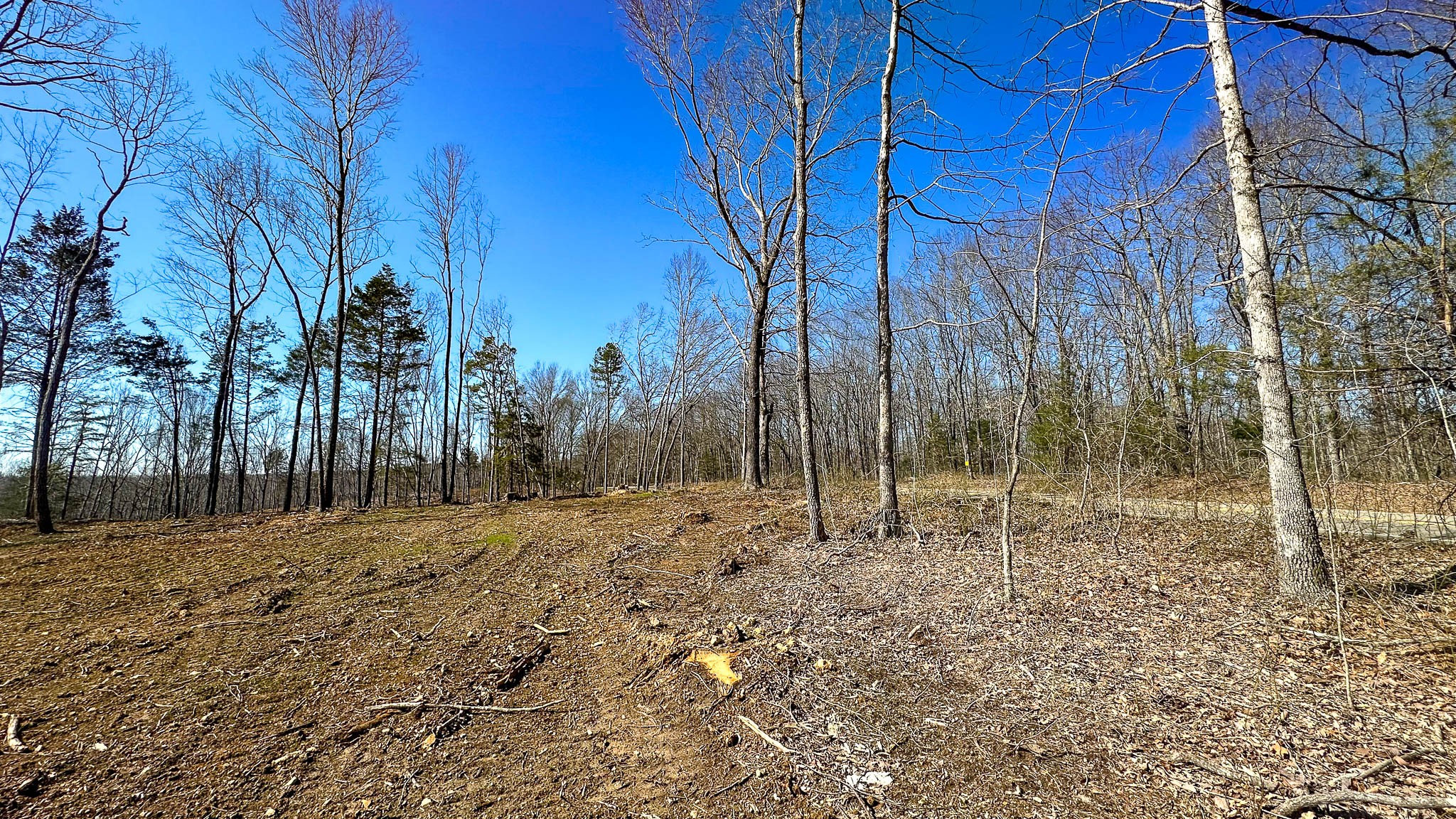 0 Highway 438 Centerville, TN 37033 - Photo 16 of 20