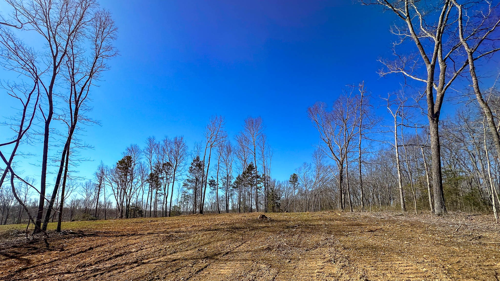 0 Highway 438 Centerville, TN 37033 - Photo 17 of 20