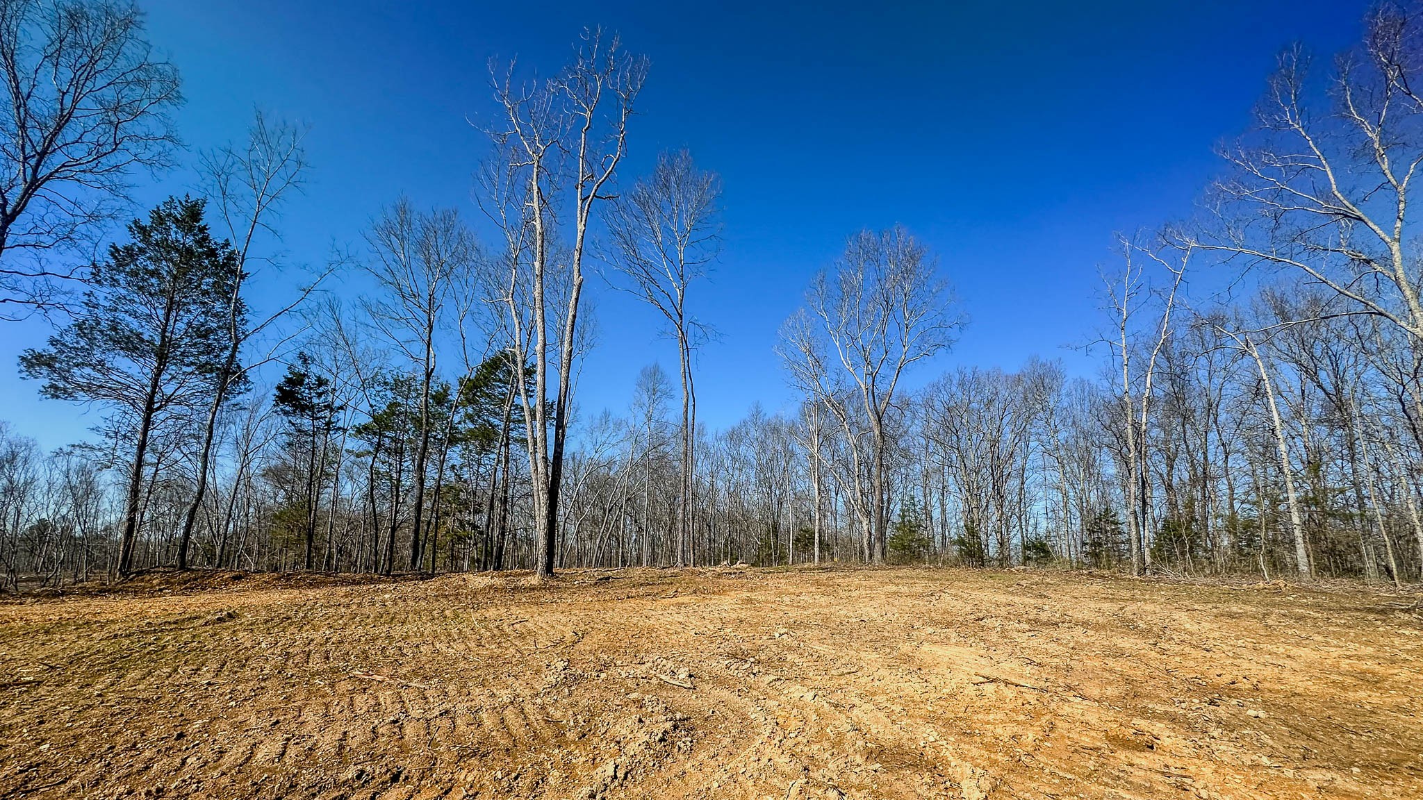 0 Highway 438 Centerville, TN 37033 - Photo 18 of 20