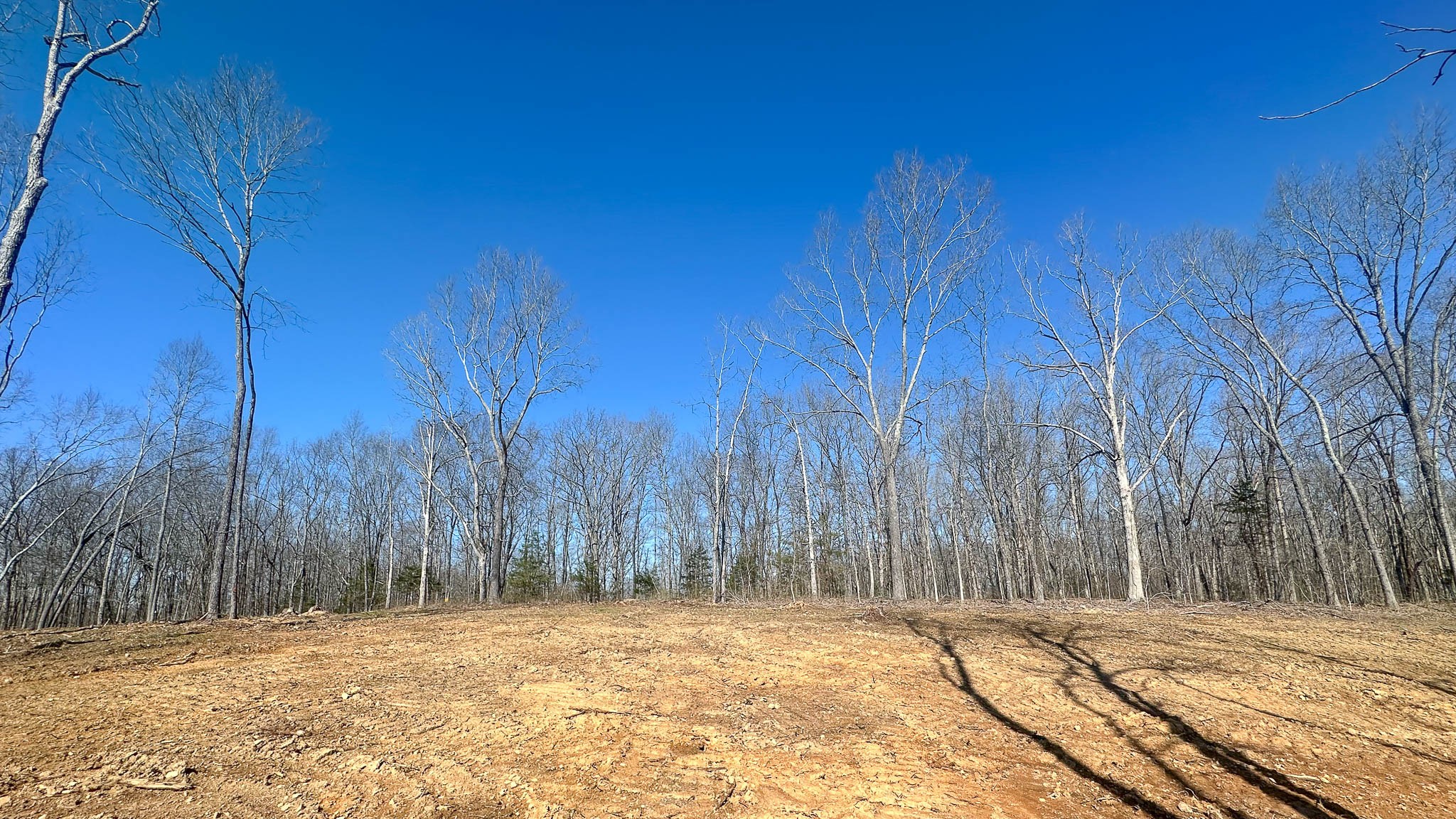 0 Highway 438 Centerville, TN 37033 - Photo 19 of 20