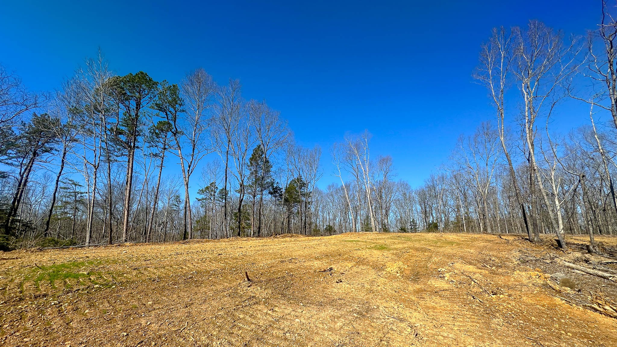 0 Highway 438 Centerville, TN 37033 - Photo 20 of 20