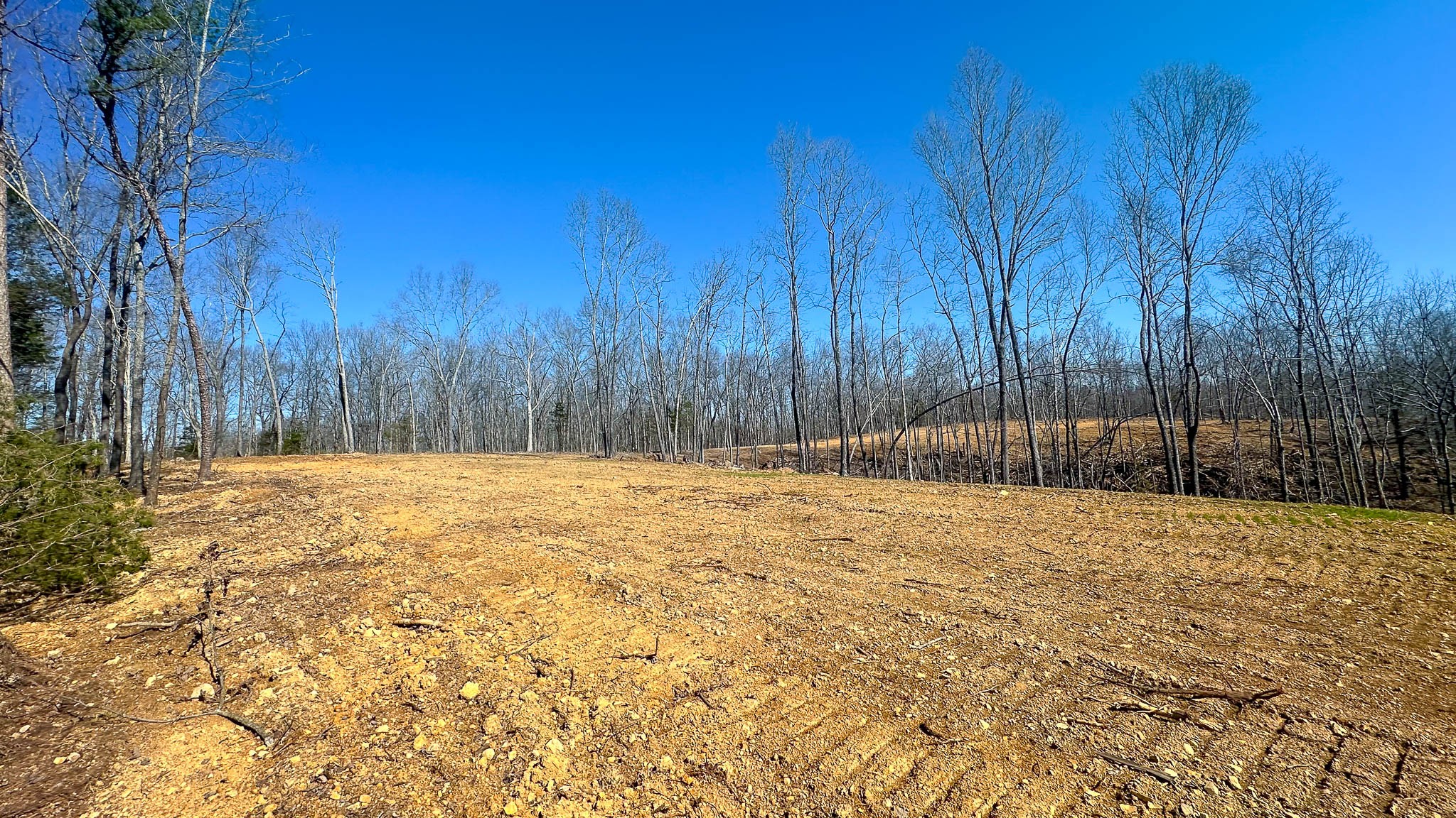 0 Highway 438 Centerville, TN 37033 - Photo 3 of 20