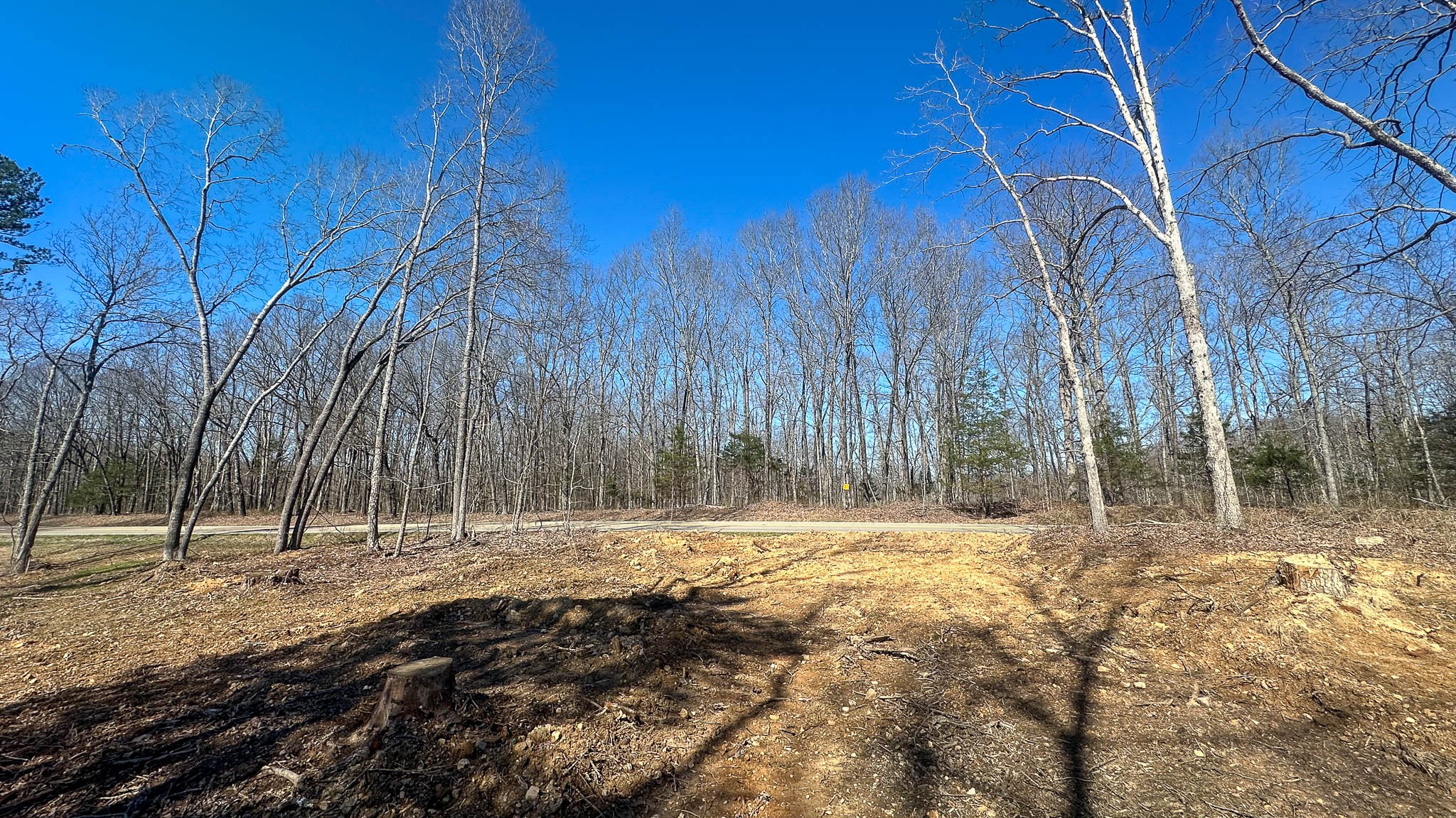 0 Highway 438 Centerville, TN 37033 - Photo 4 of 20