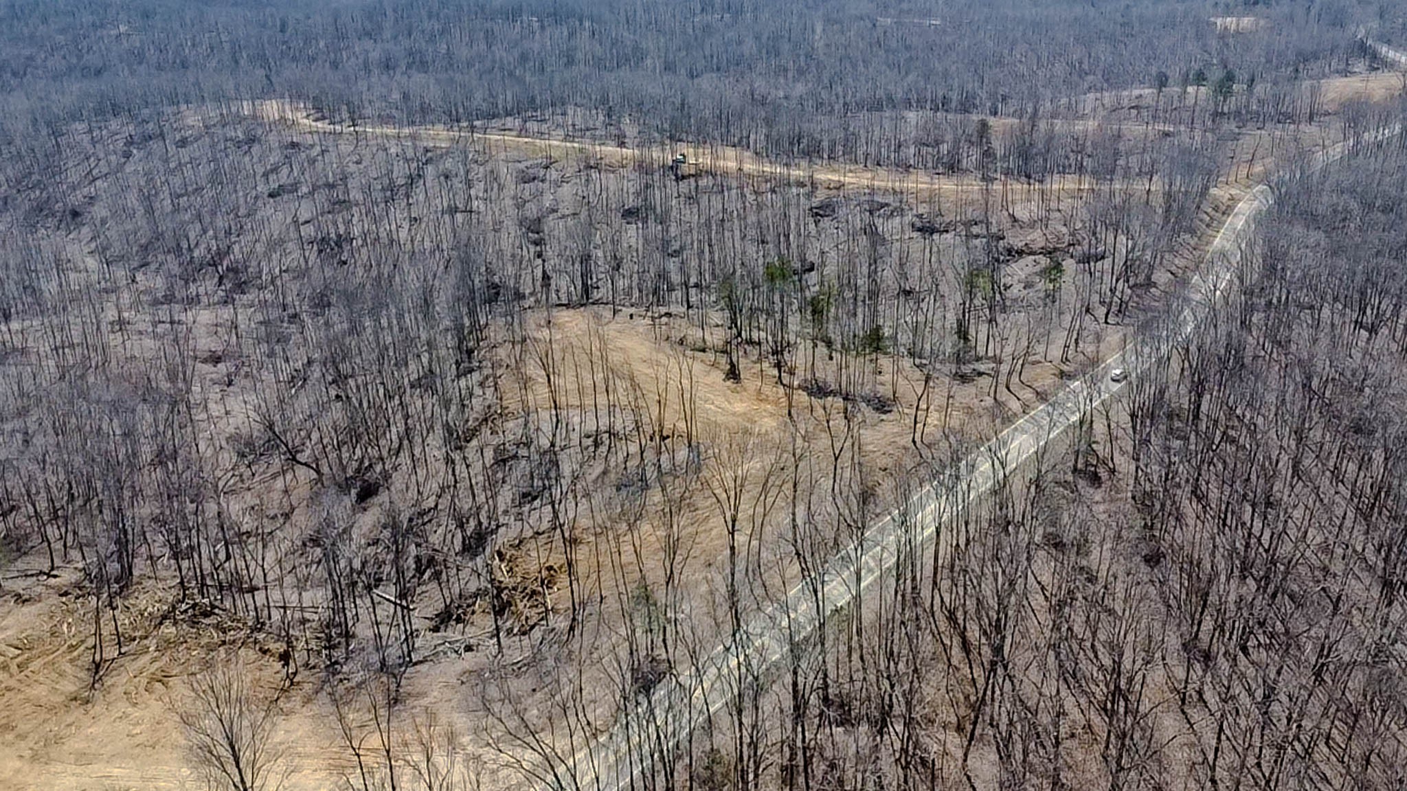 0 Highway 438 Centerville, TN 37033 - Photo 6 of 20
