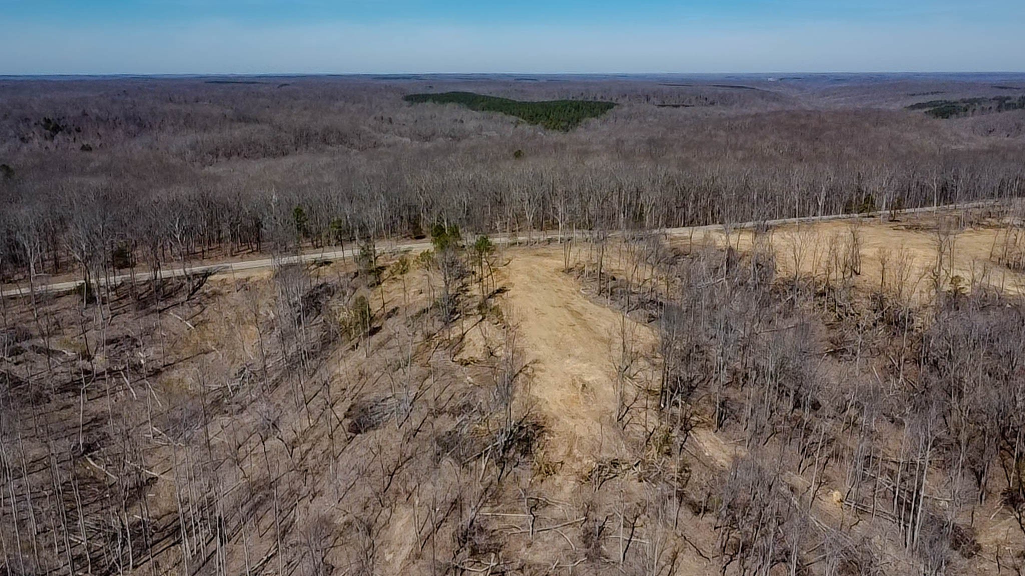 0 Highway 438 Centerville, TN 37033 - Photo 7 of 20