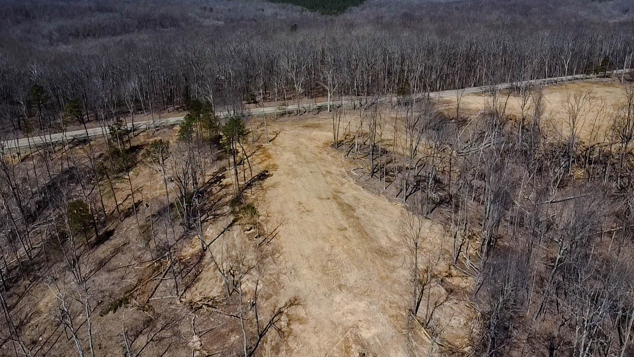 0 Highway 438 Centerville, TN 37033 - Photo 8 of 20
