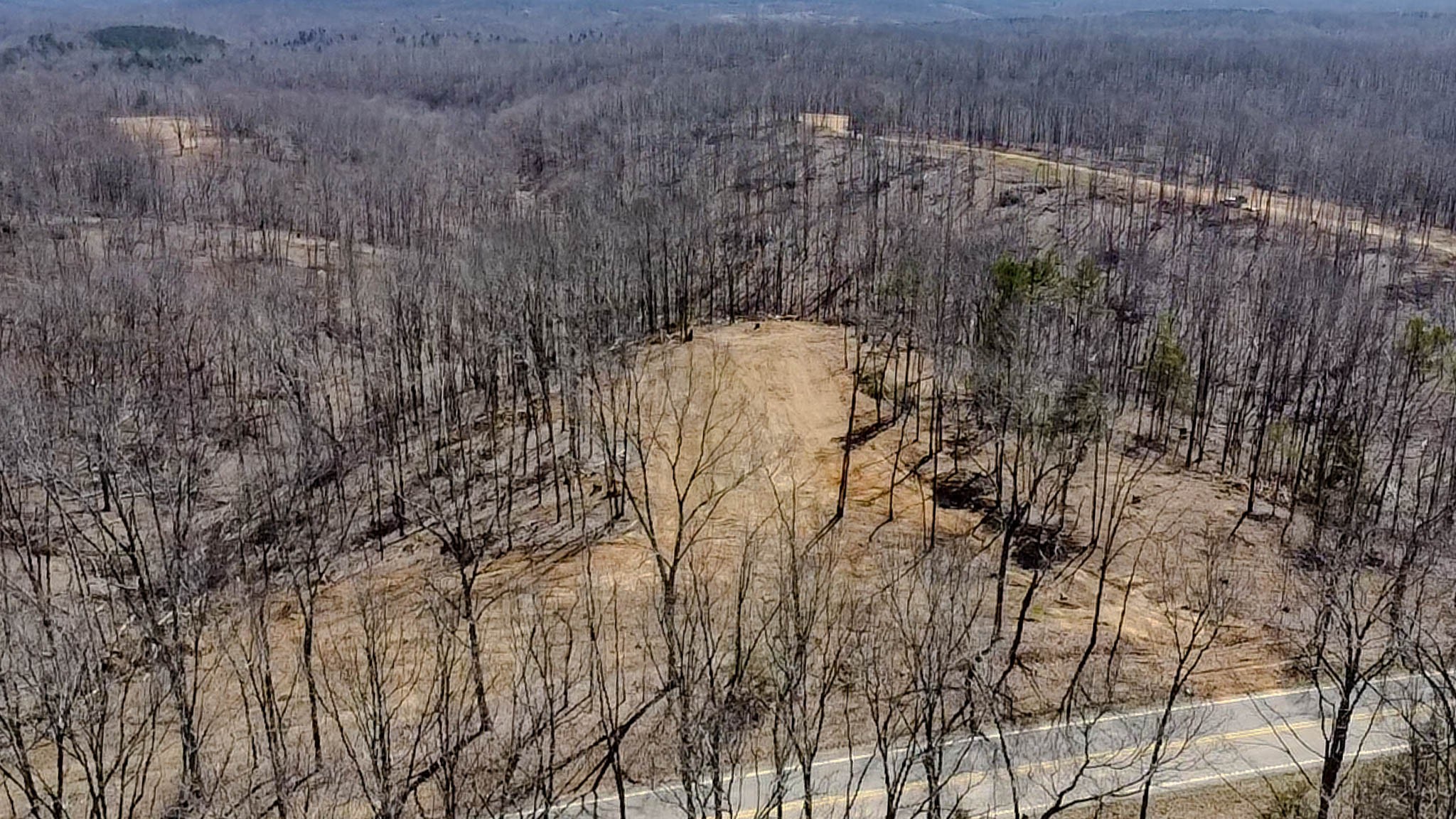 0 Highway 438 Centerville, TN 37033 - Photo 9 of 20