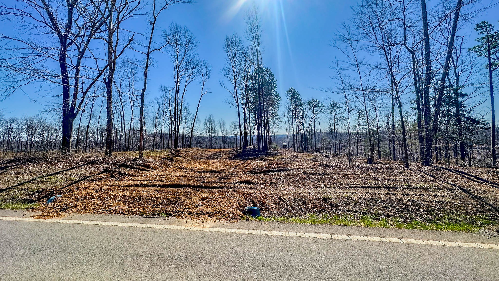 0 Highway 438 Centerville, TN 37033 - Photo 10 of 20