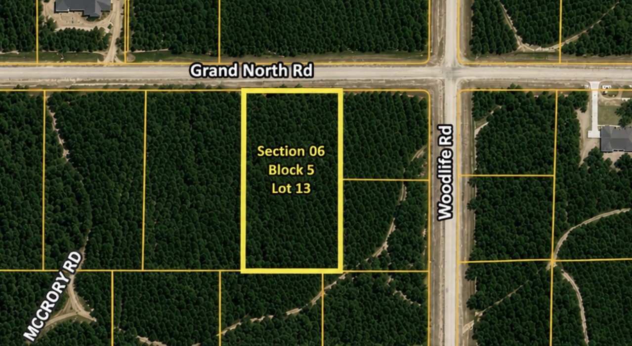 11818 Grand N Road Willis, TX 77378 - Photo 2 of 20 Gallery Image 2